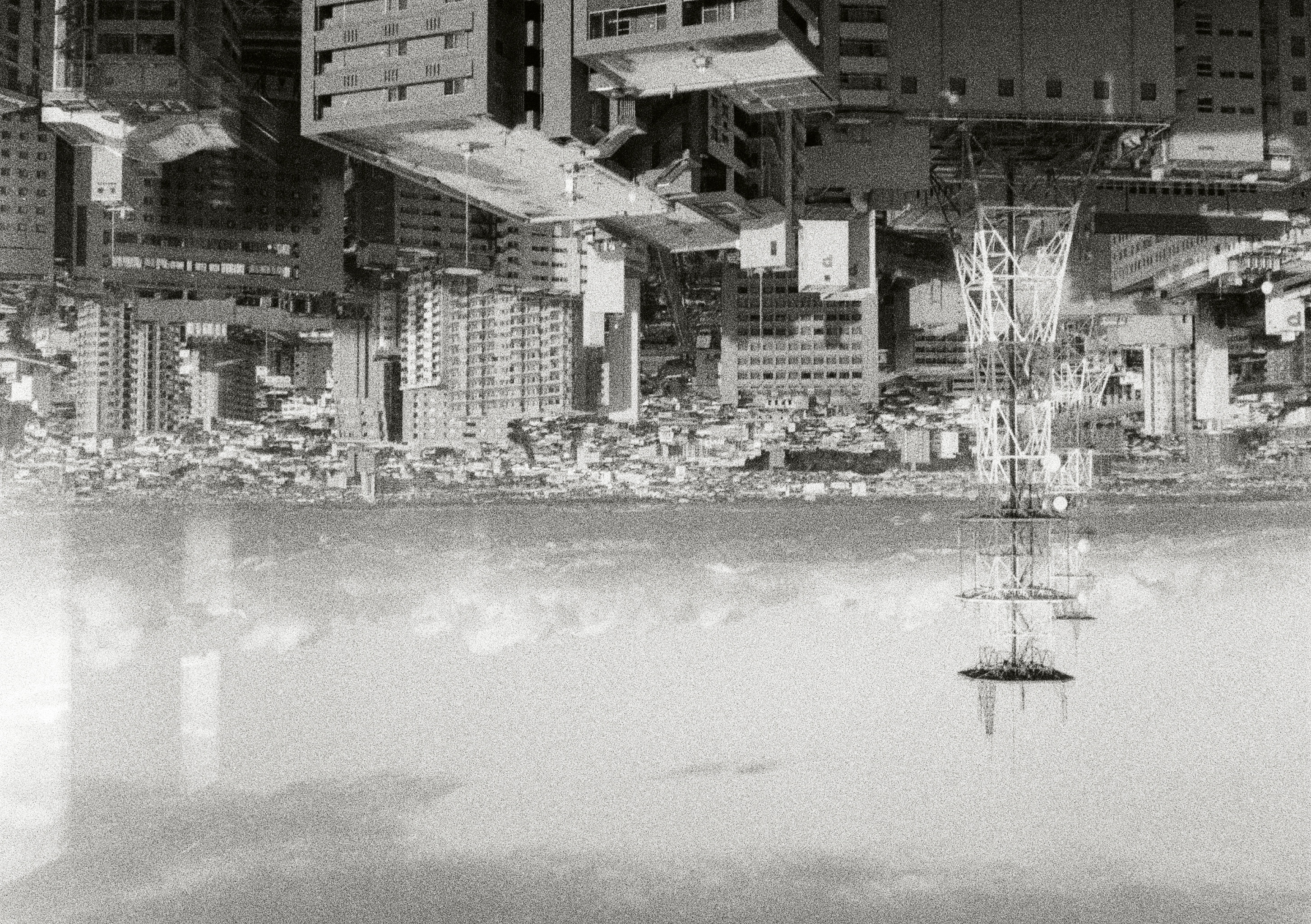 Roll #5 — Pentax 17 78