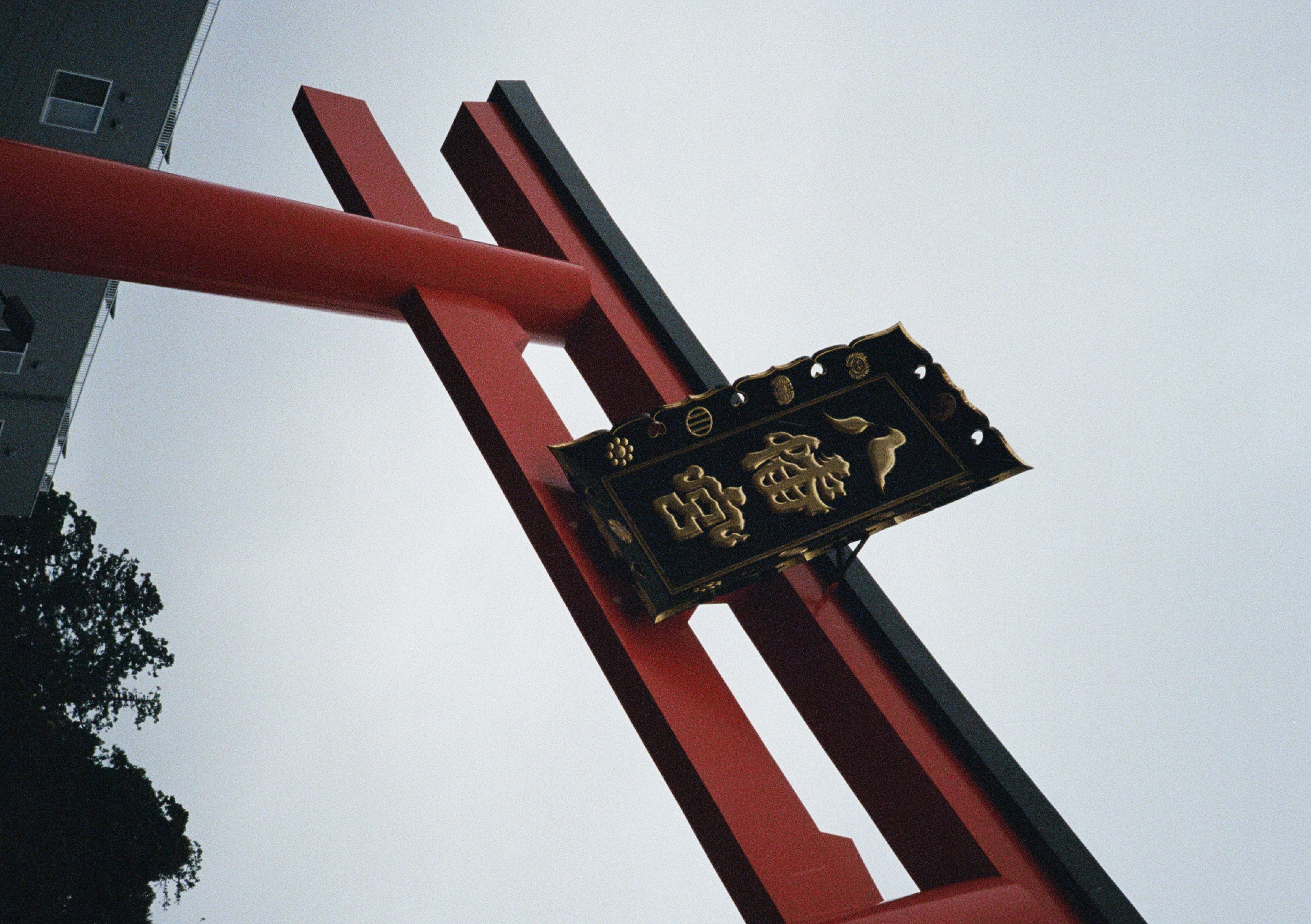 Roll #6 — Pentax 17 2