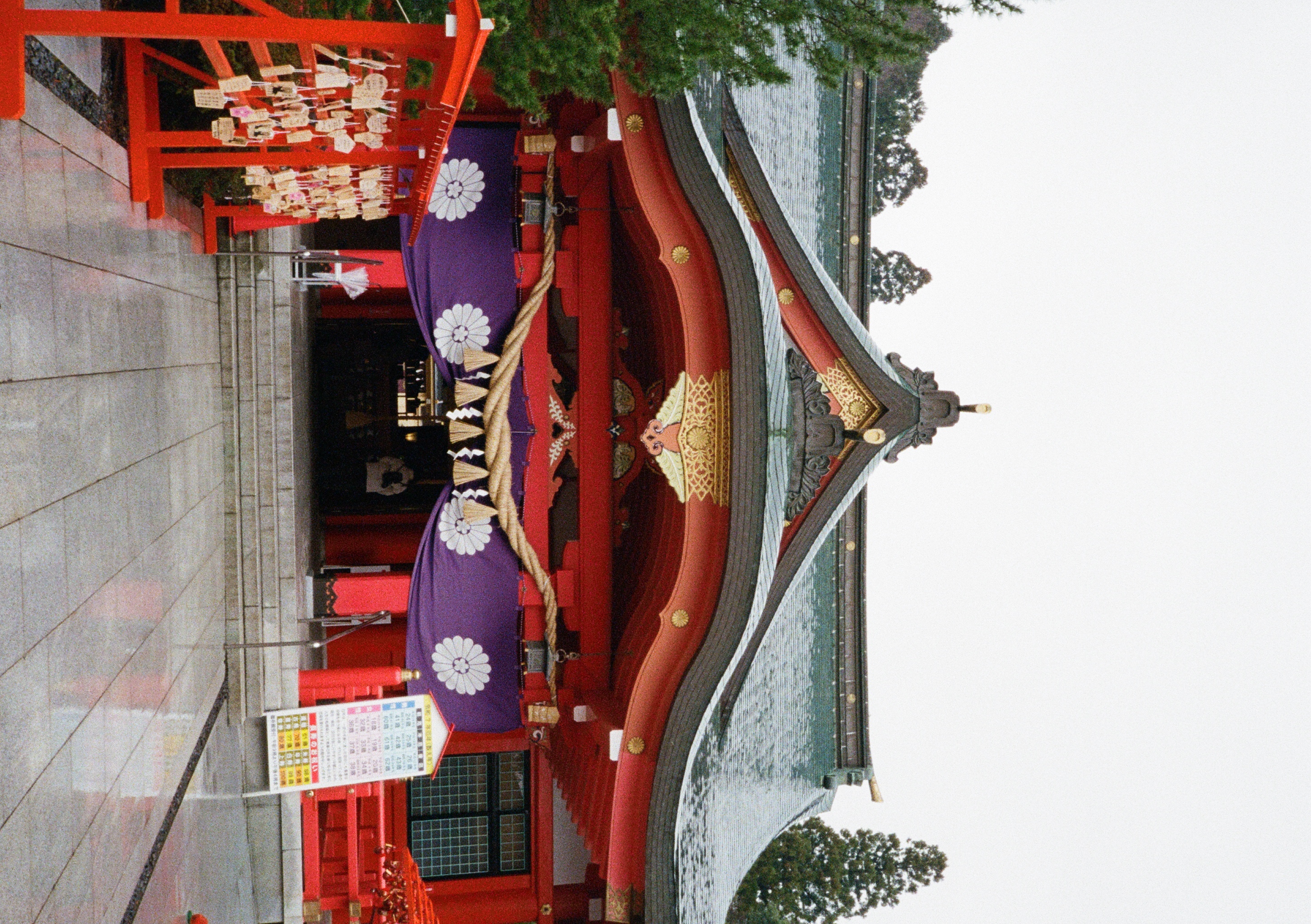 Roll #6 — Pentax 17 4