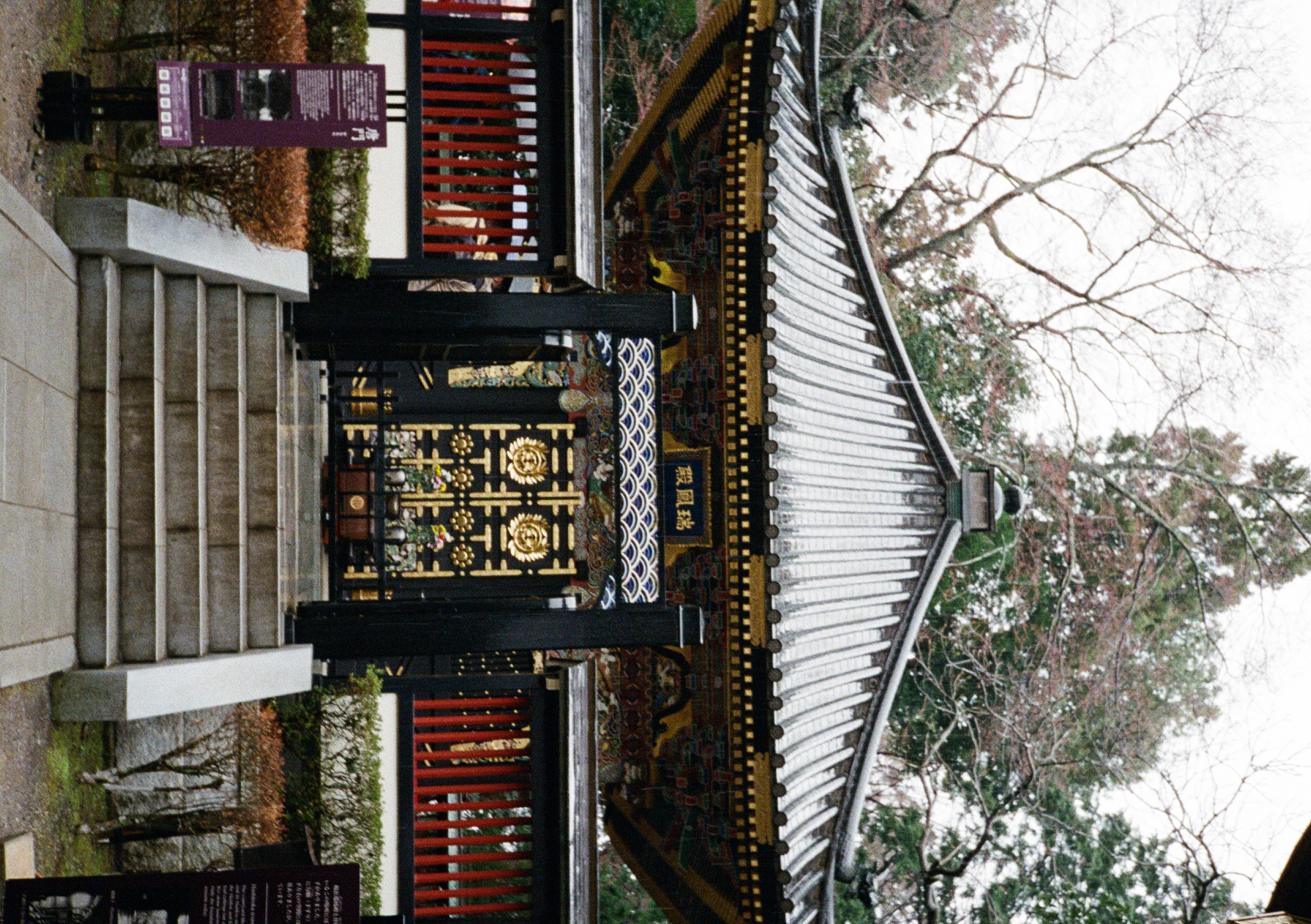 Roll #6 — Pentax 17 5