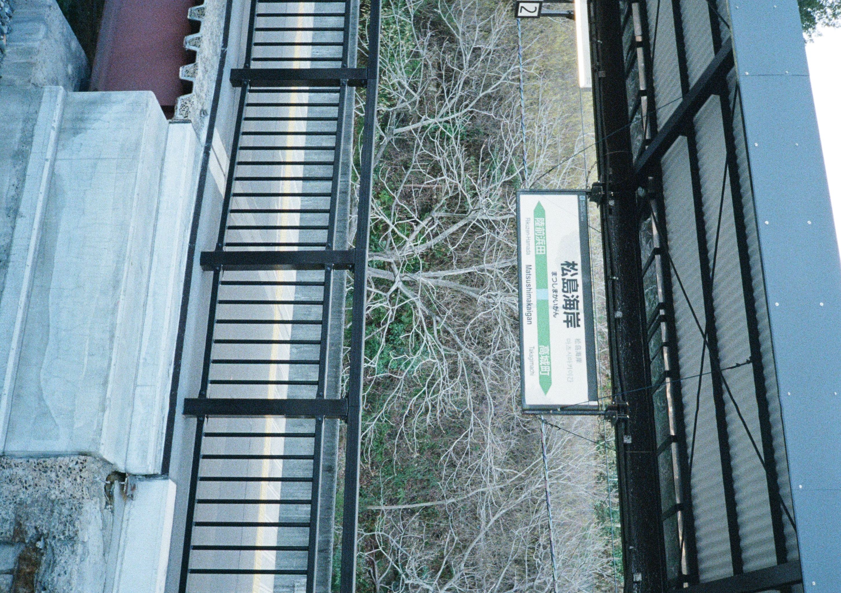 Roll #6 — Pentax 17 10