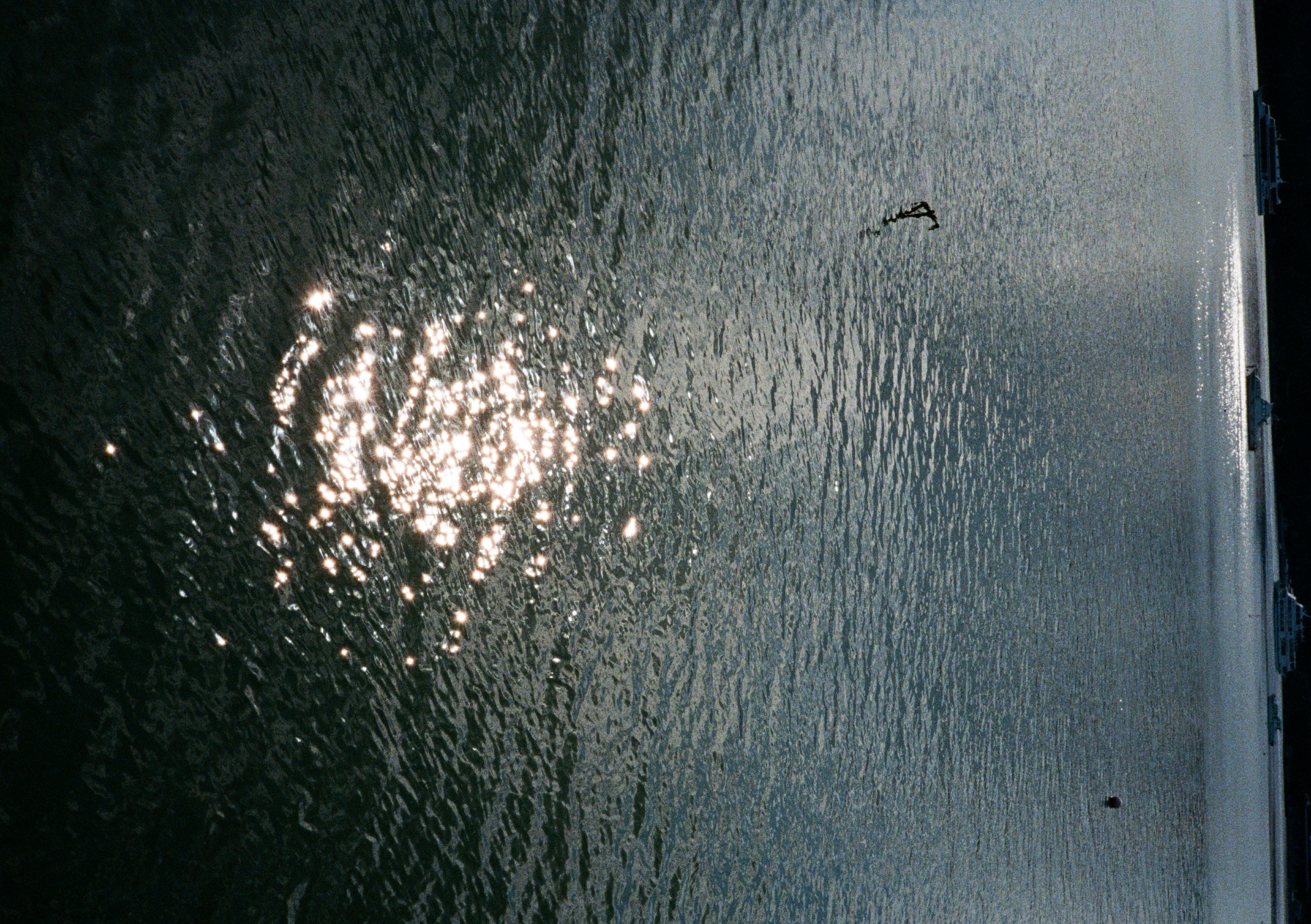 Roll #6 — Pentax 17 15