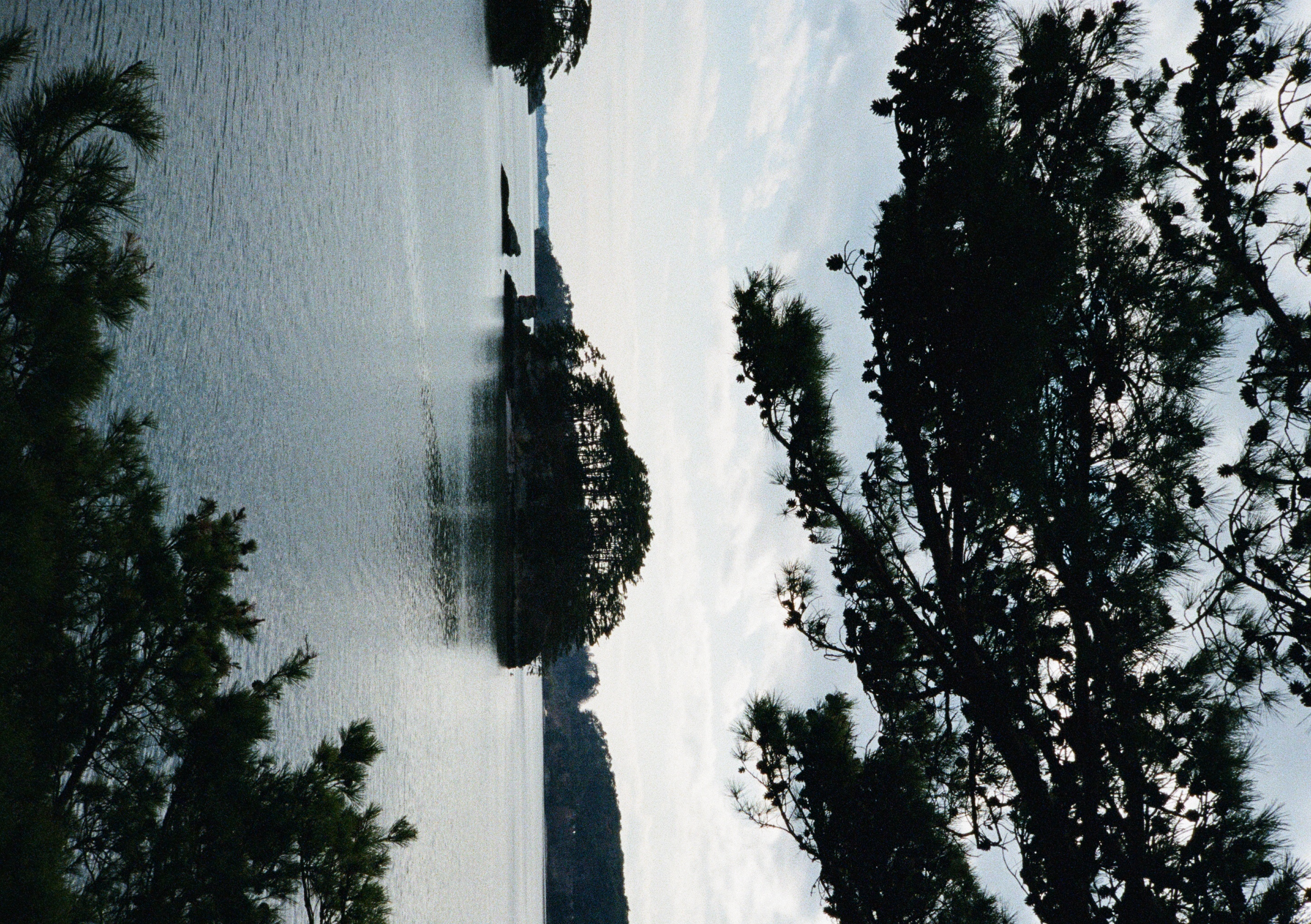 Roll #6 — Pentax 17 16