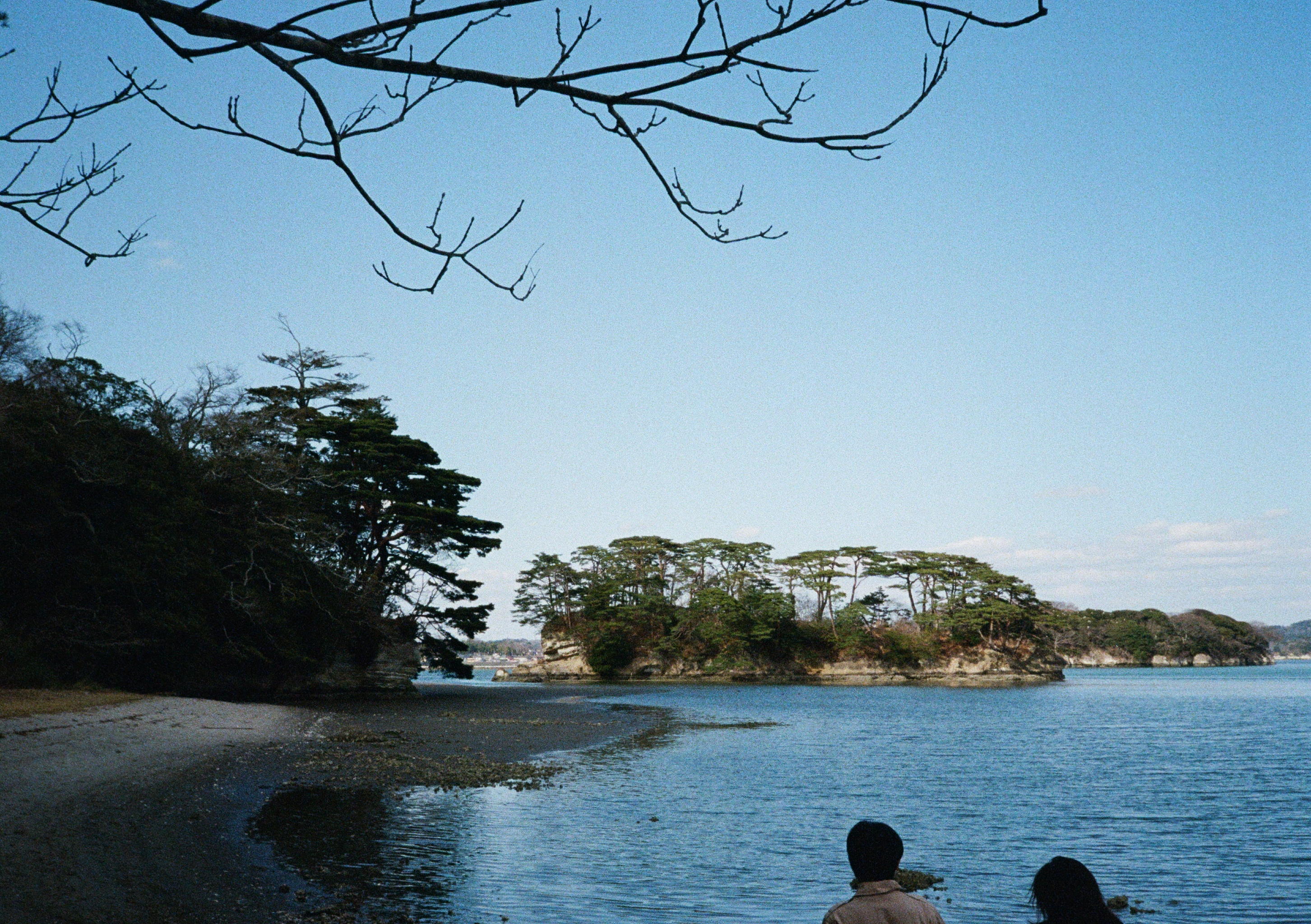 Roll #6 — Pentax 17 18