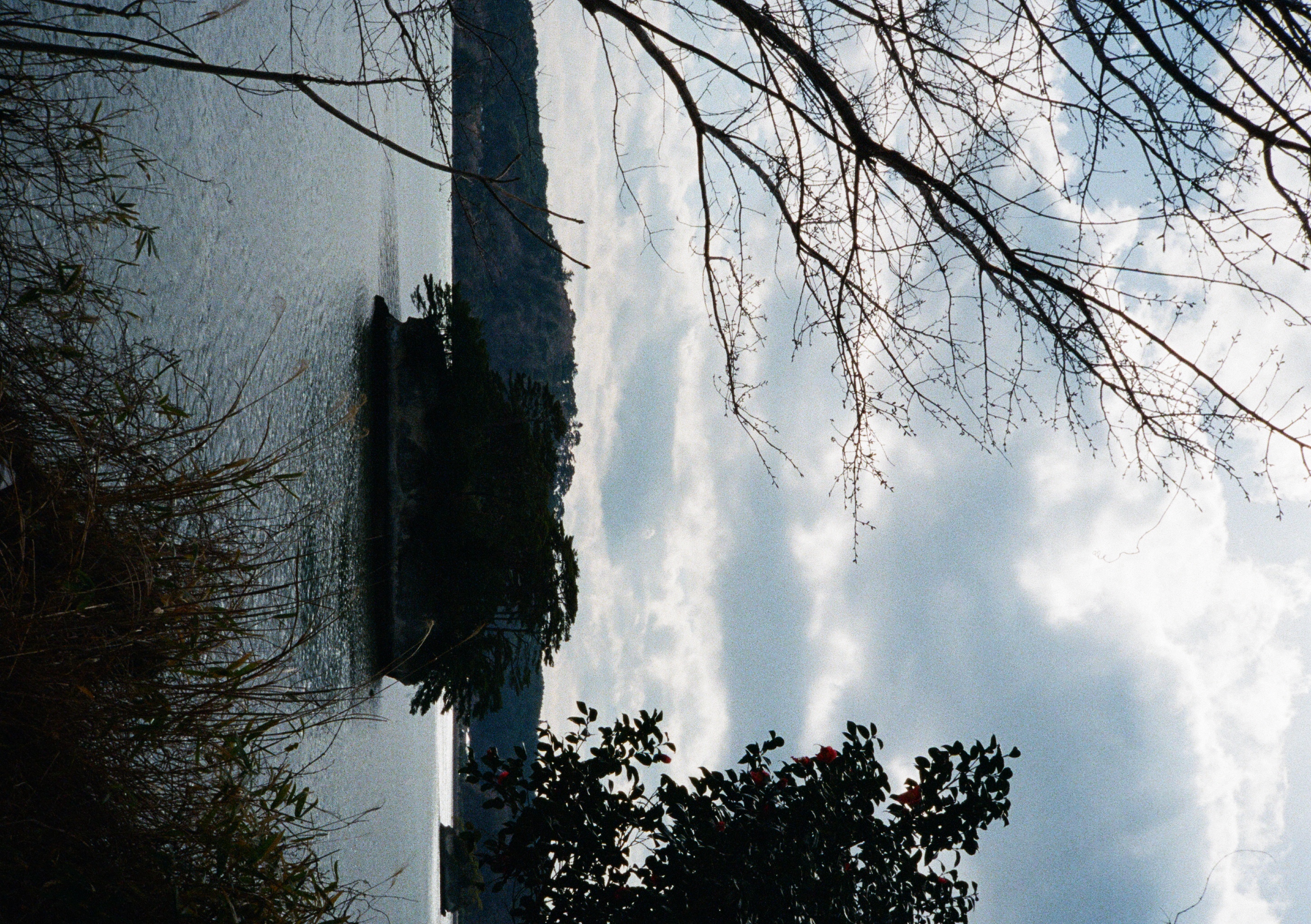 Roll #6 — Pentax 17 21