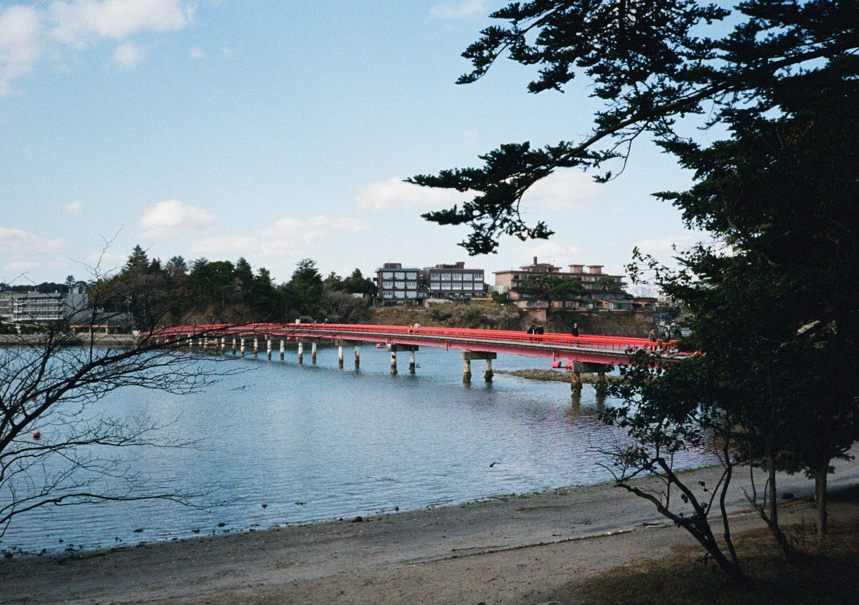 Roll #6 — Pentax 17 22