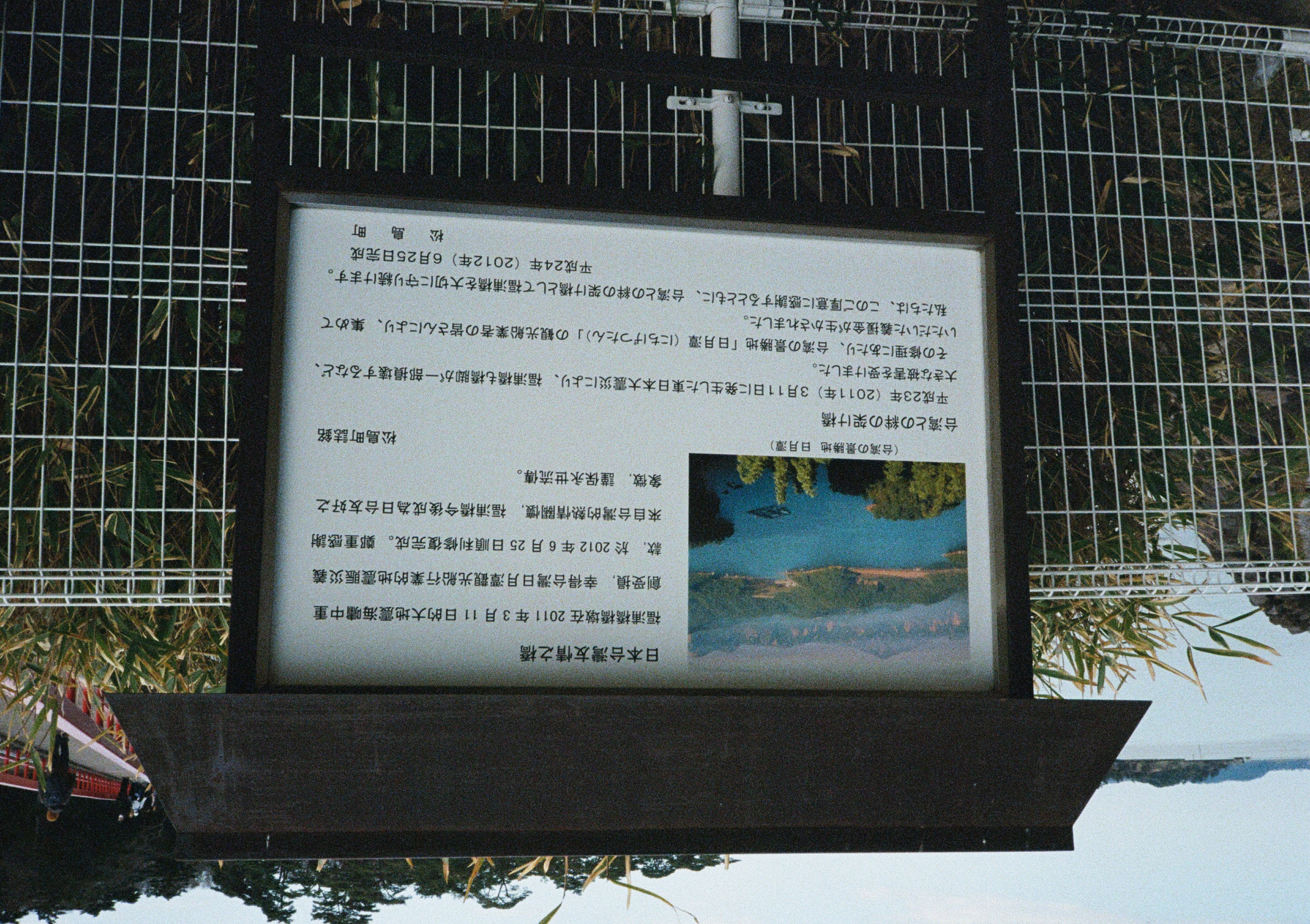 Roll #6 — Pentax 17 24