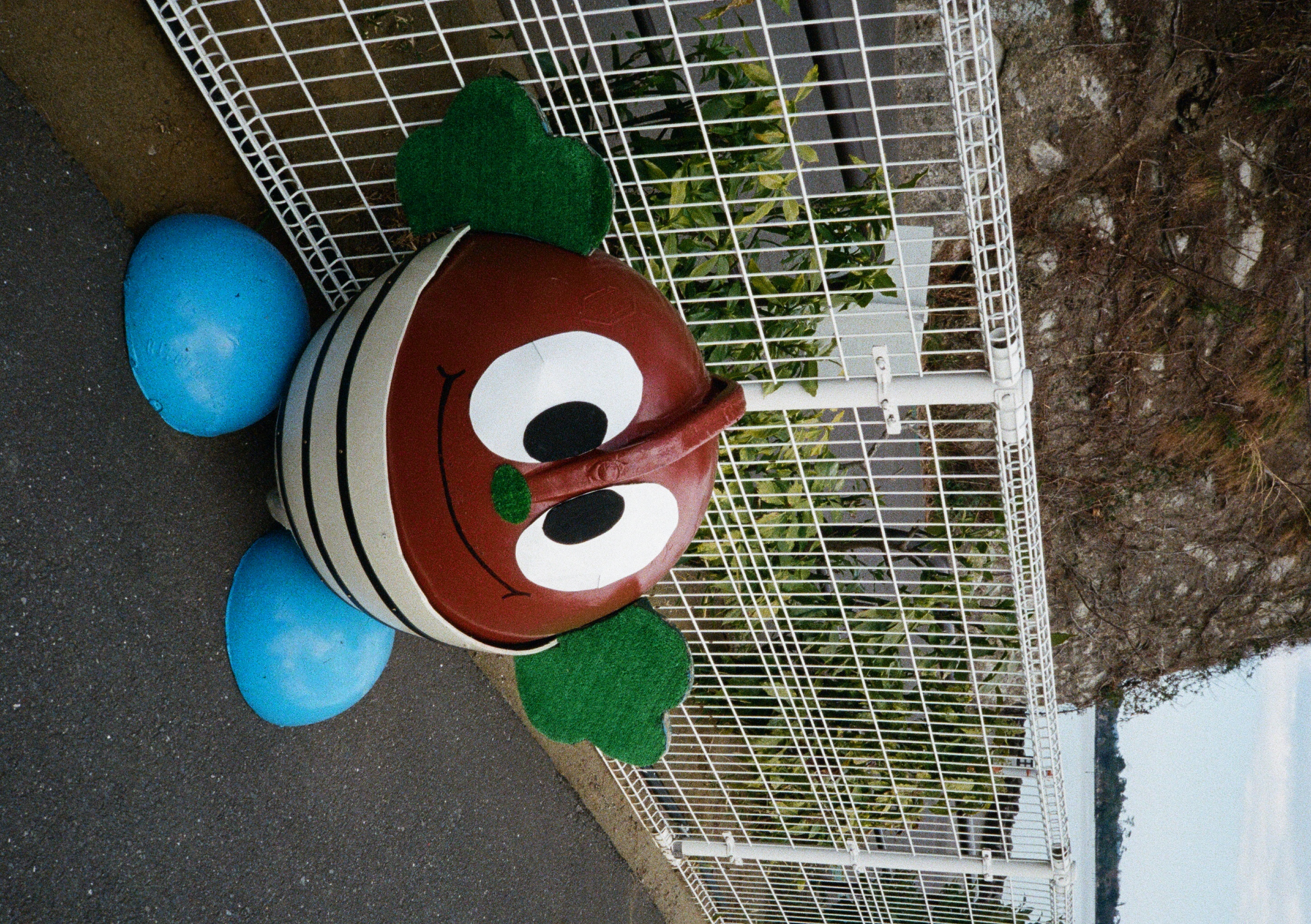 Roll #6 — Pentax 17 26