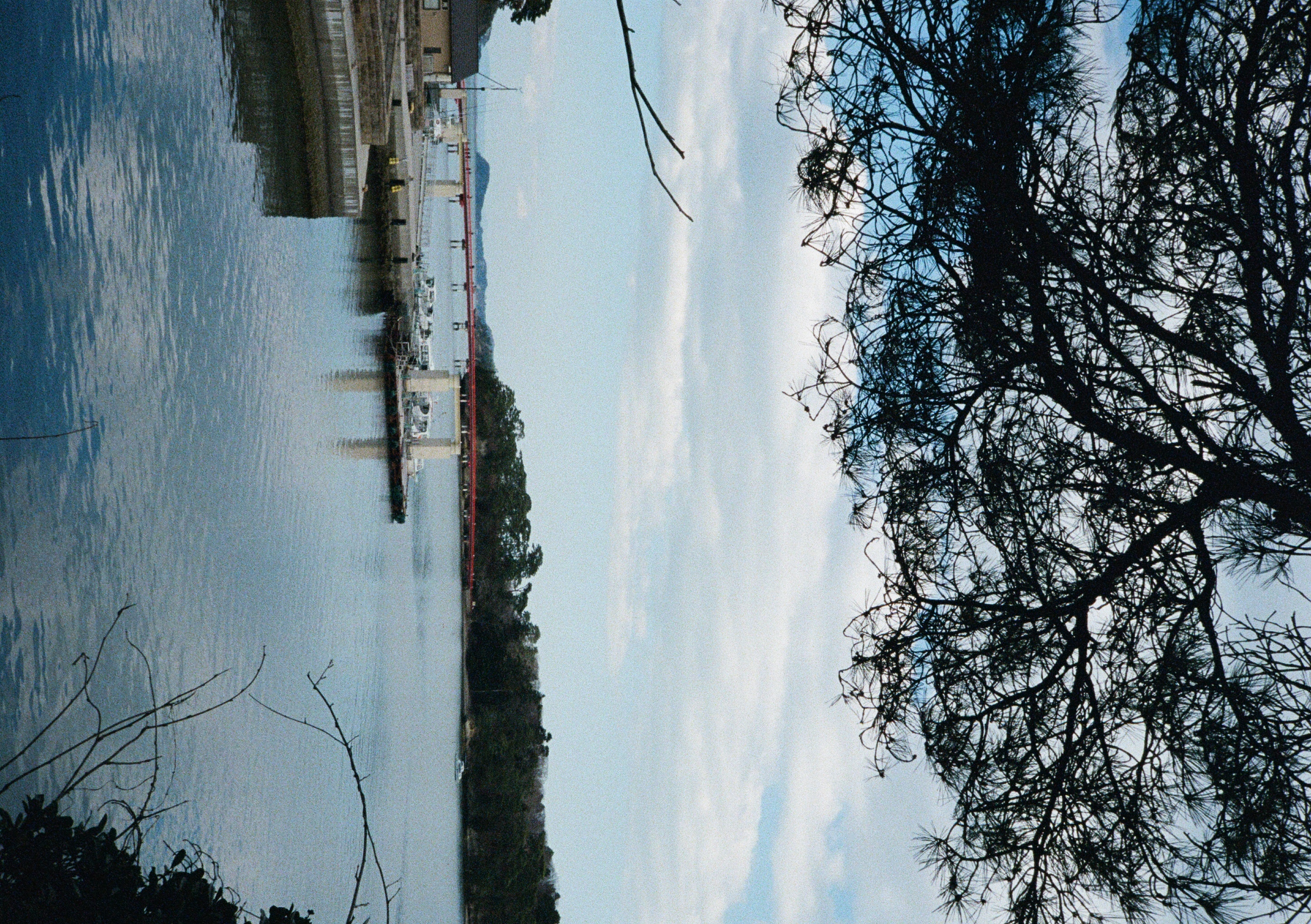 Roll #6 — Pentax 17 29