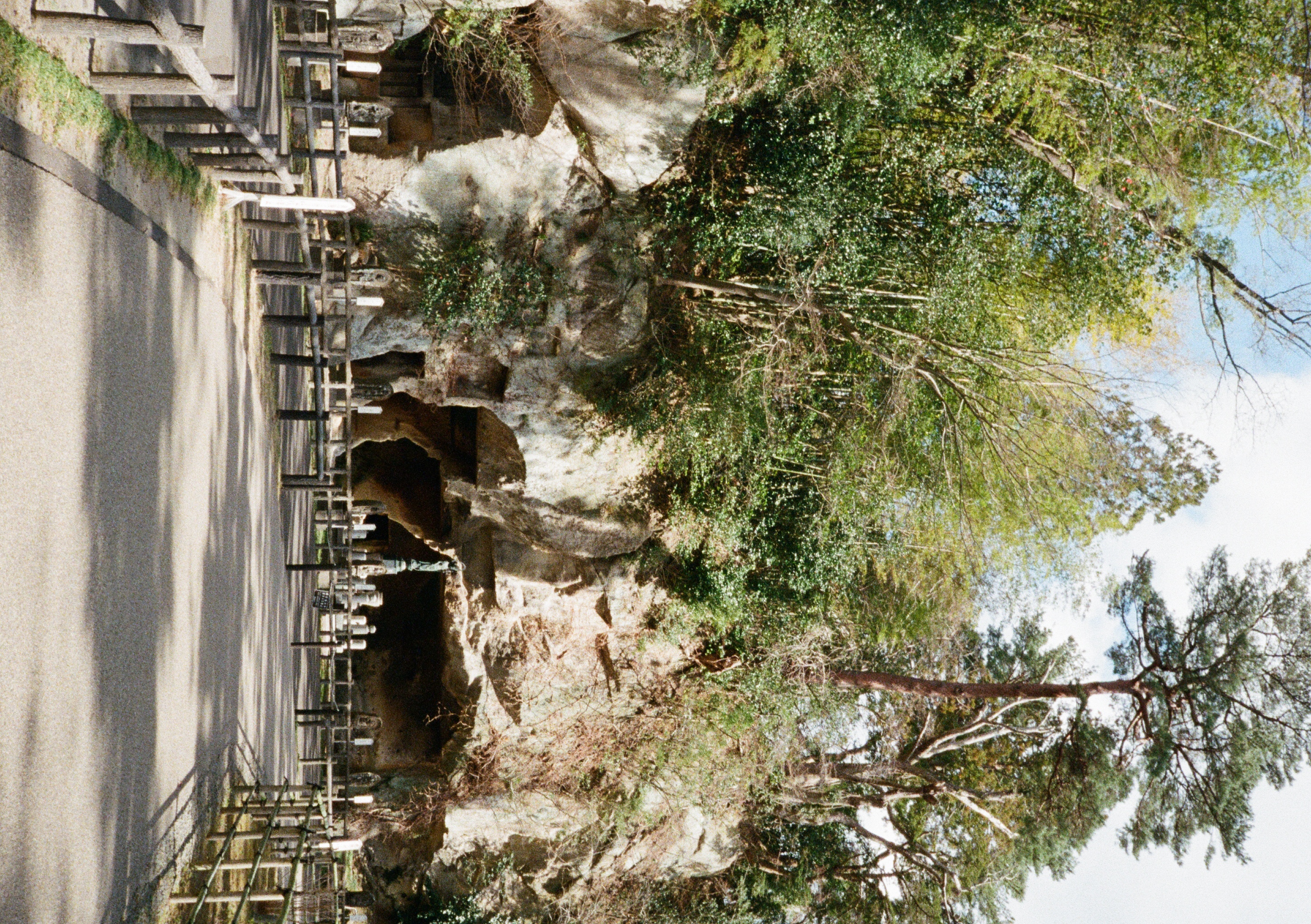 Roll #6 — Pentax 17 30