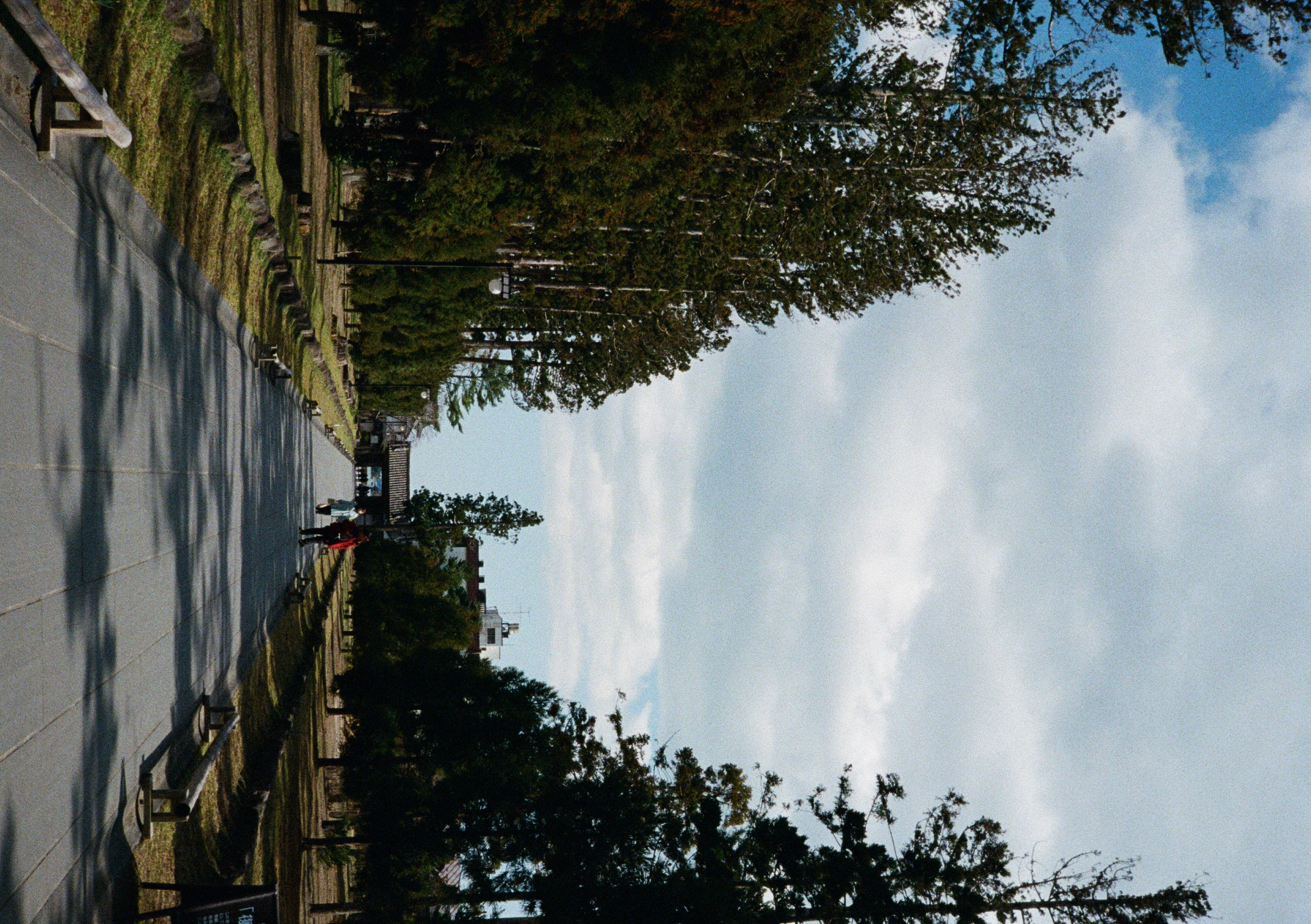 Roll #6 — Pentax 17 31