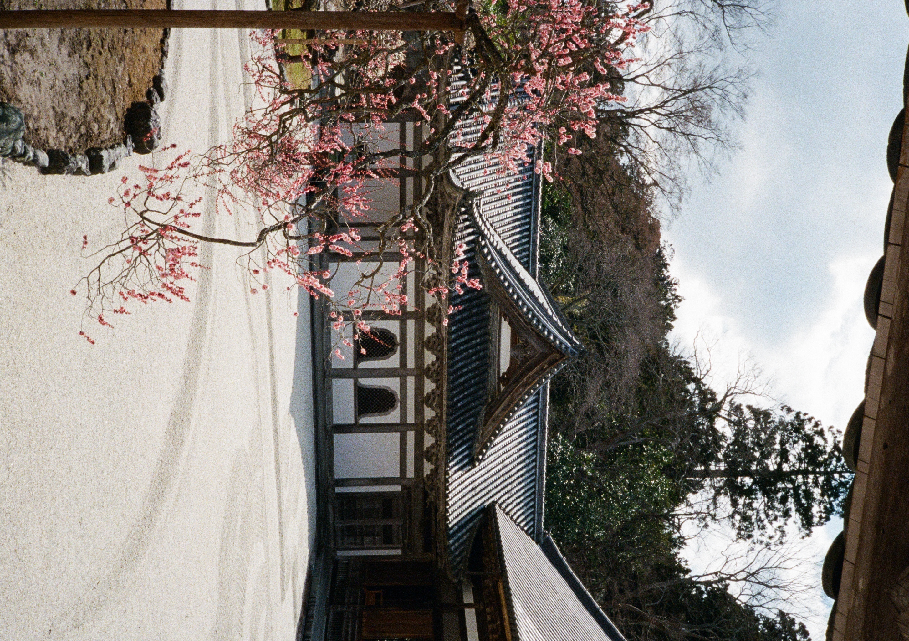 Roll #6 — Pentax 17 32