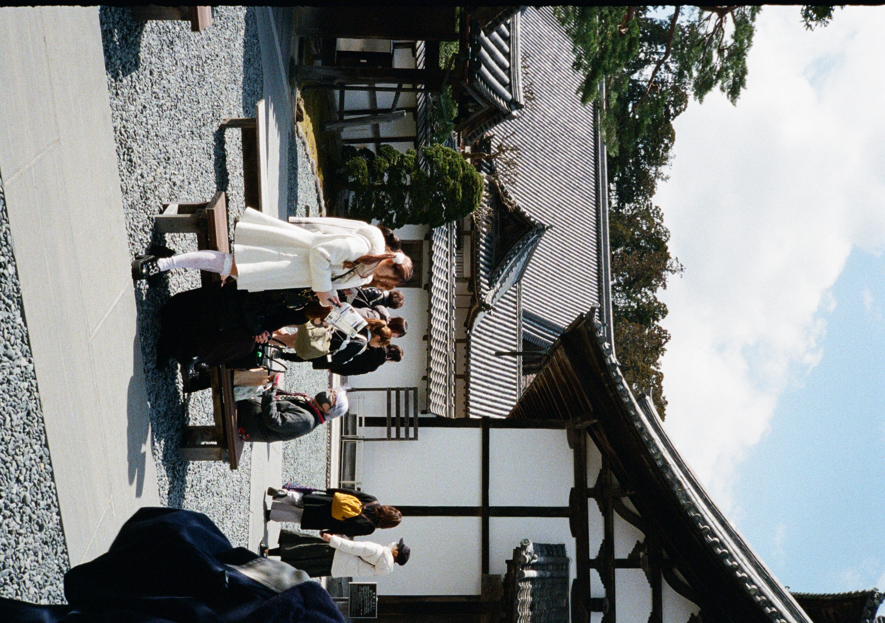 Roll #6 — Pentax 17 33