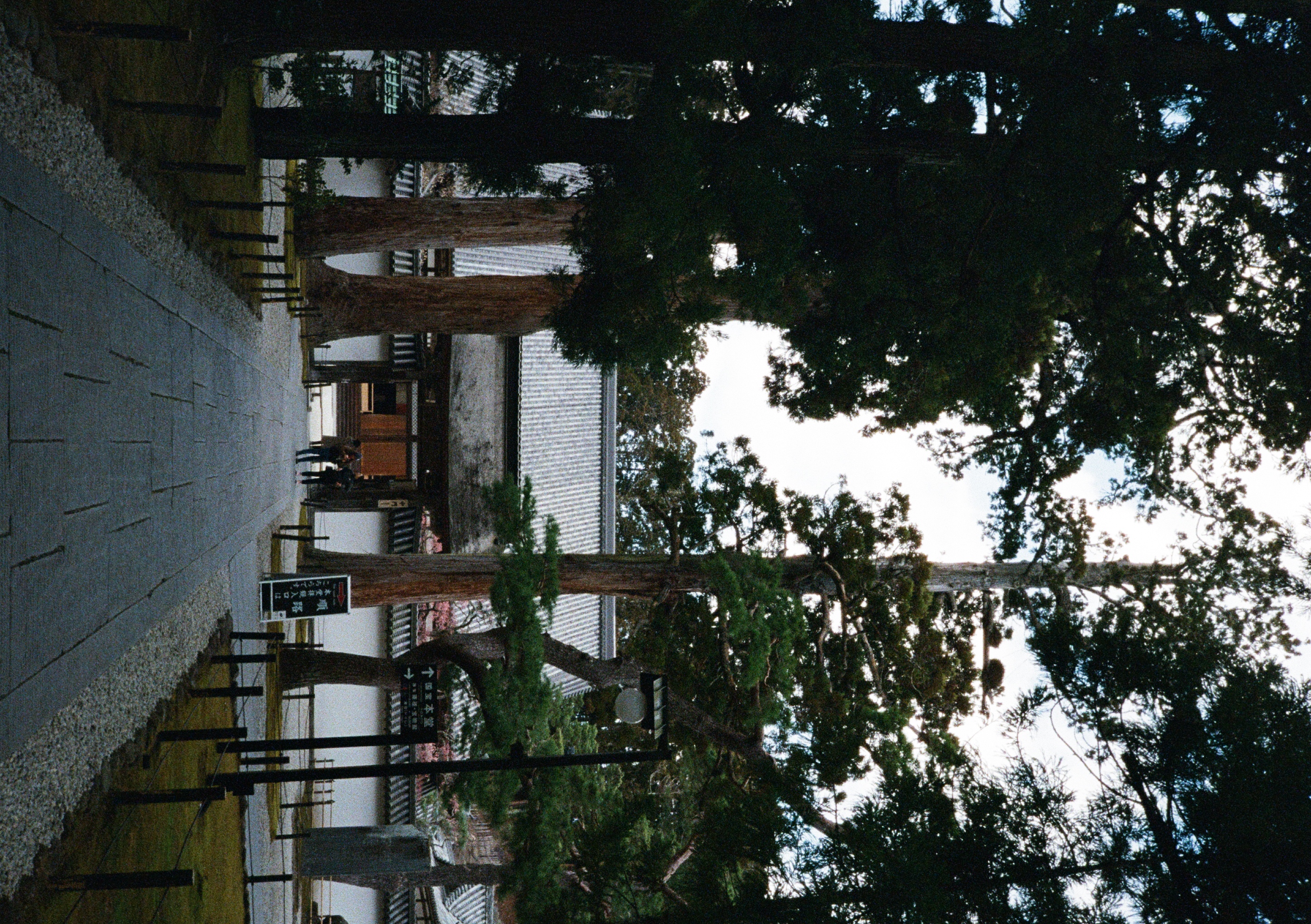 Roll #6 — Pentax 17 35