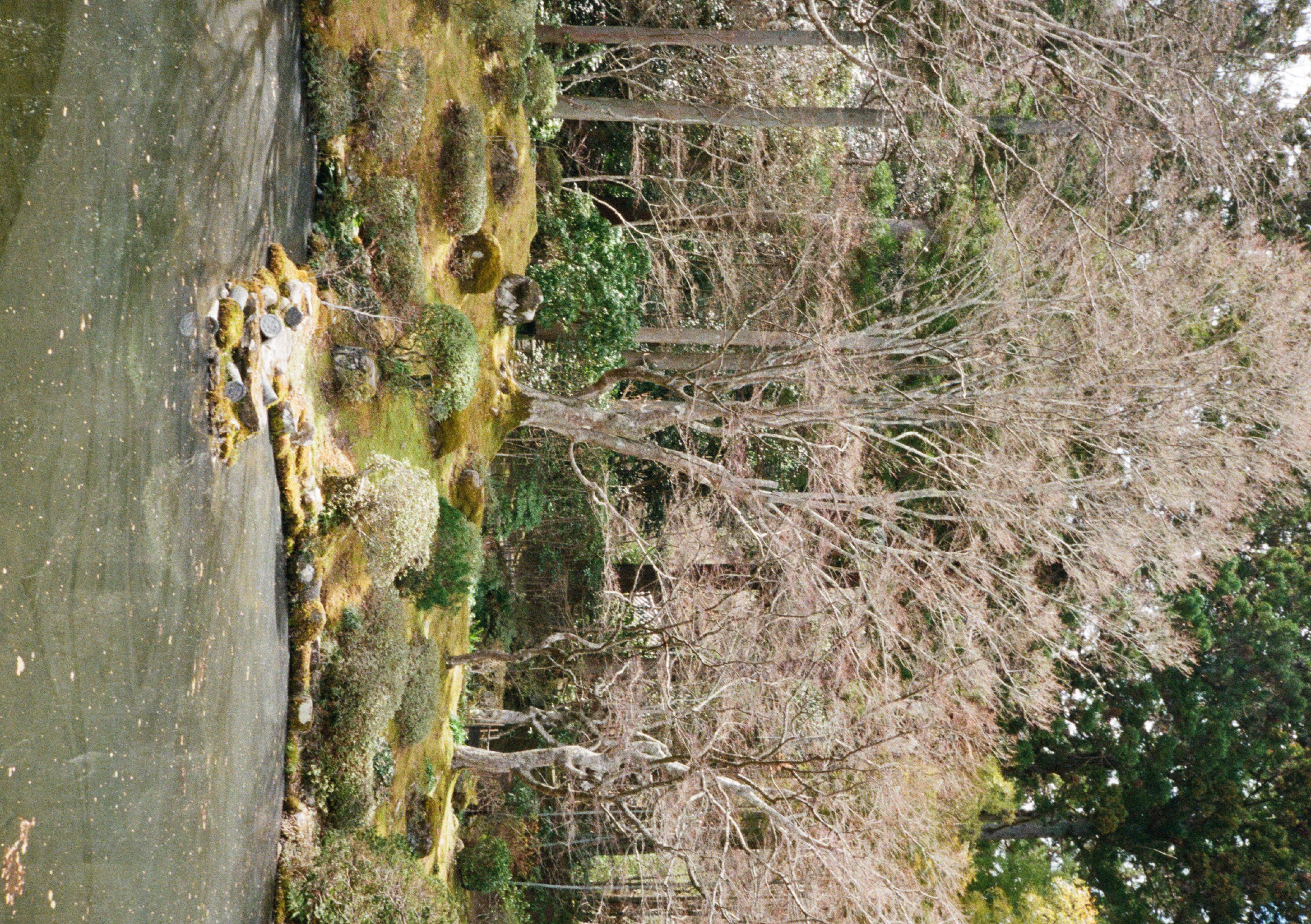 Roll #6 — Pentax 17 37