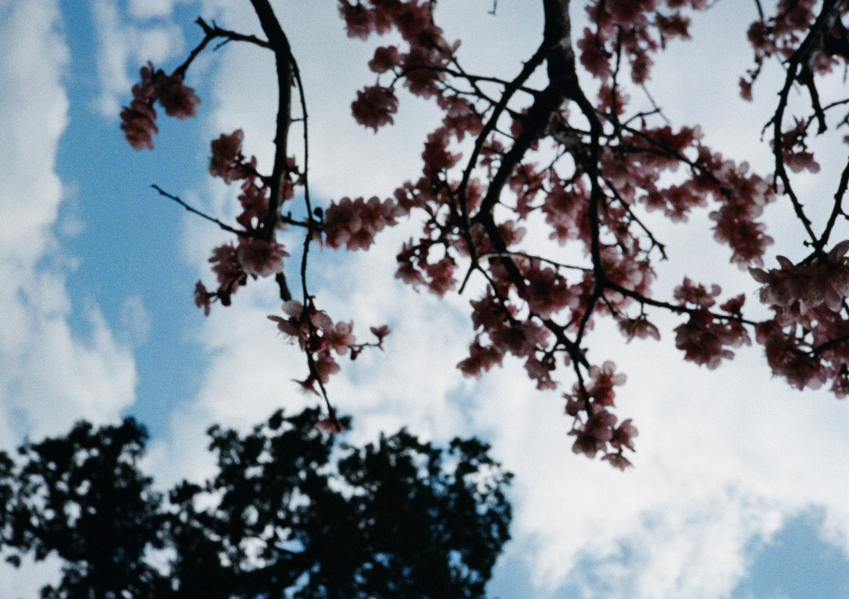 Roll #6 — Pentax 17 38