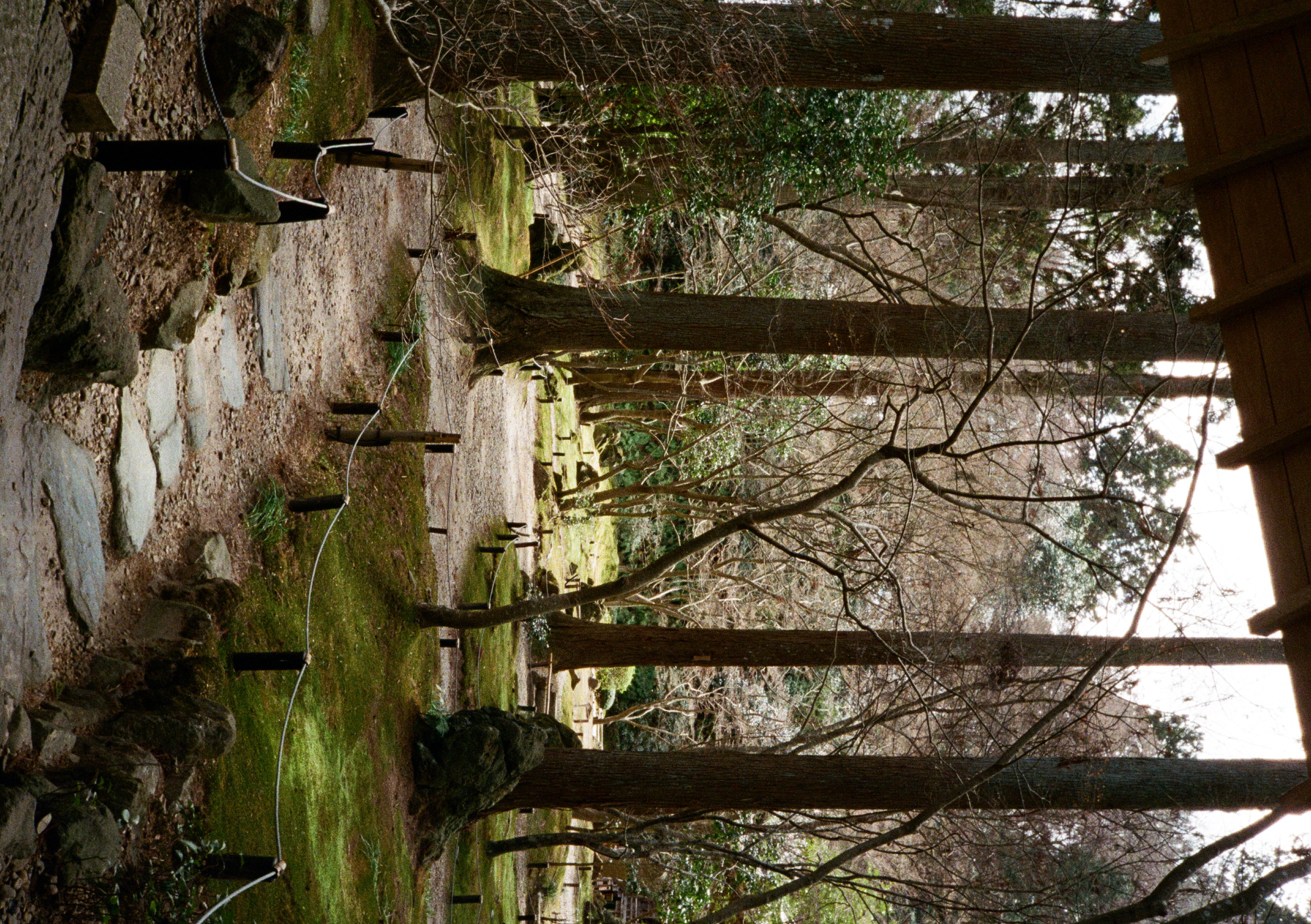 Roll #6 — Pentax 17 39