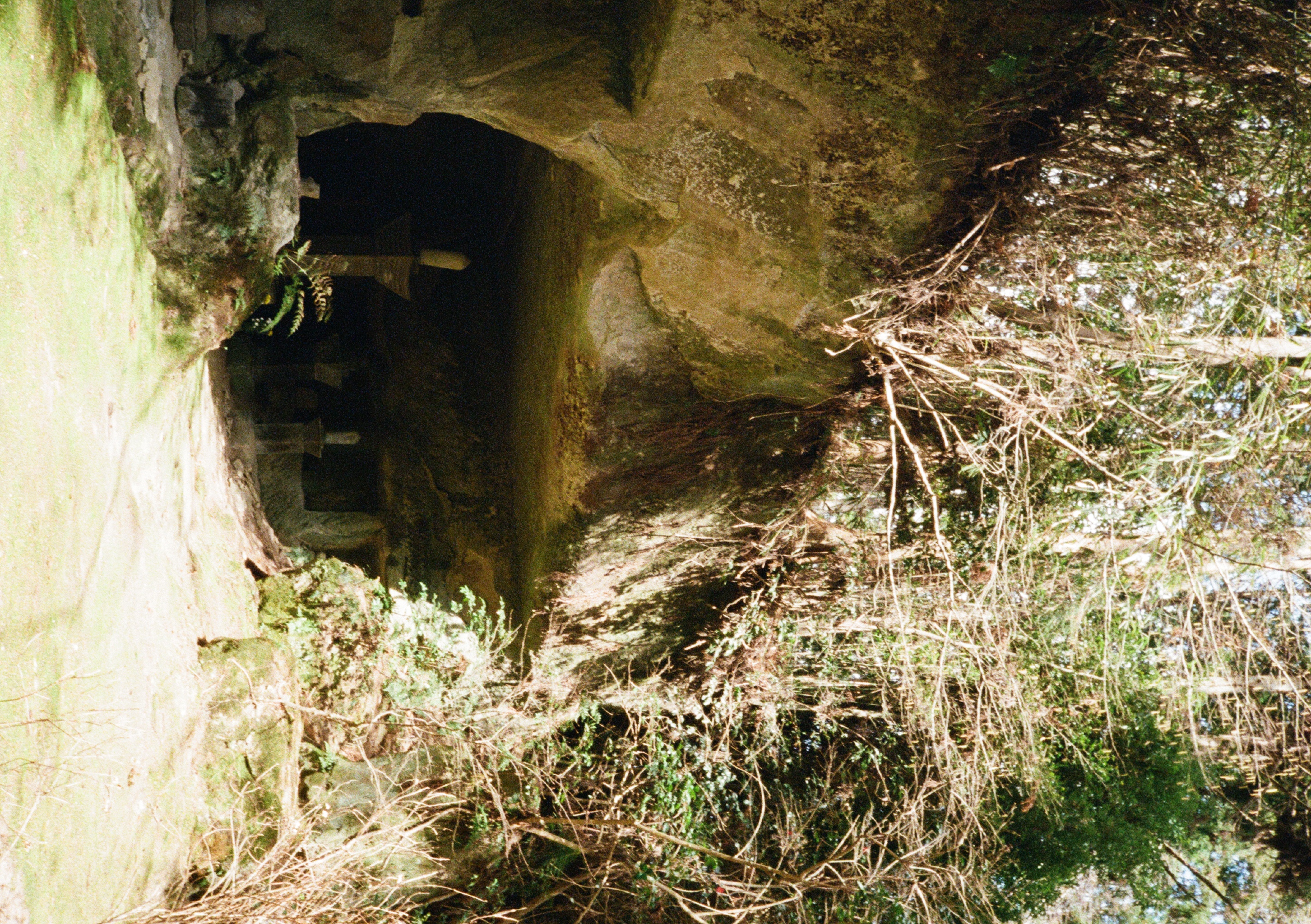 Roll #6 — Pentax 17 40