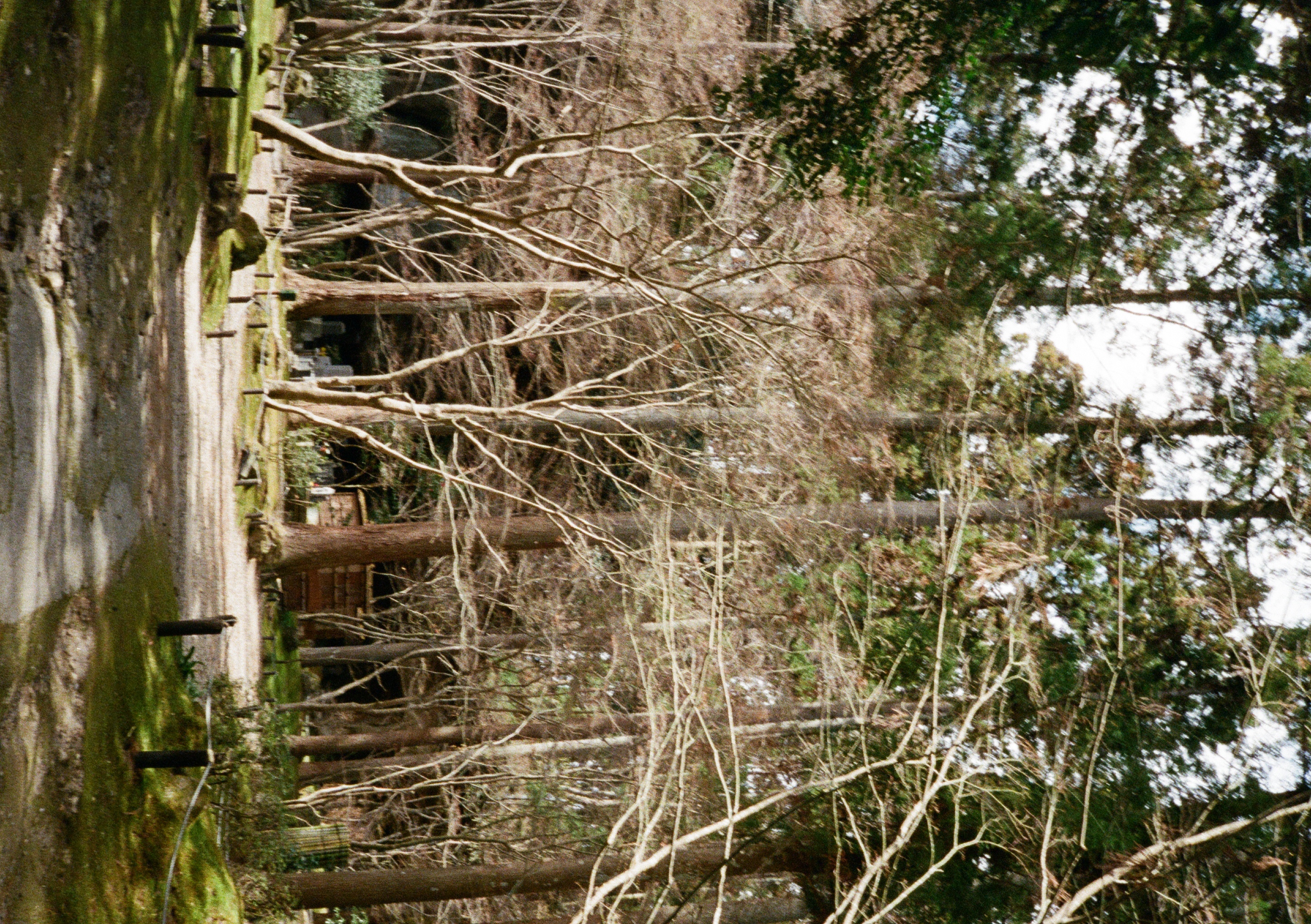 Roll #6 — Pentax 17 43