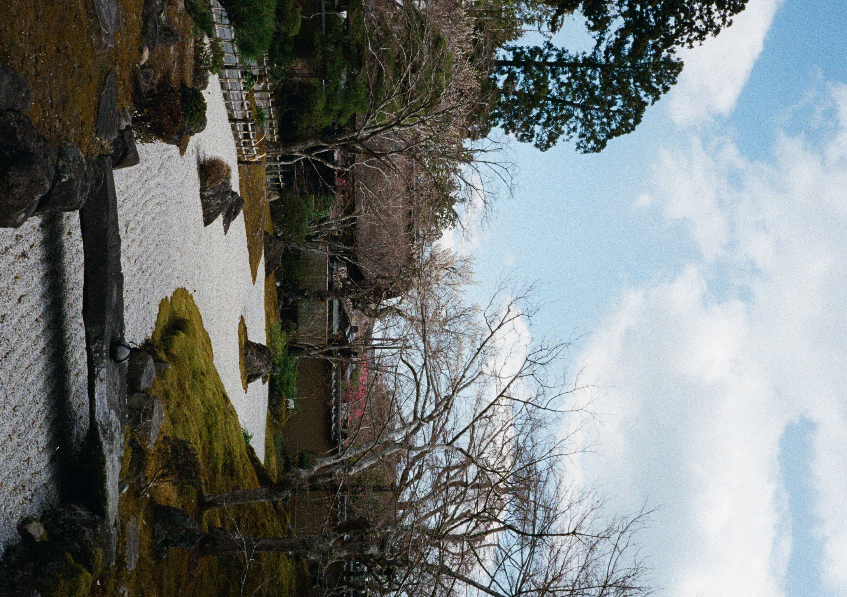 Roll #6 — Pentax 17 45