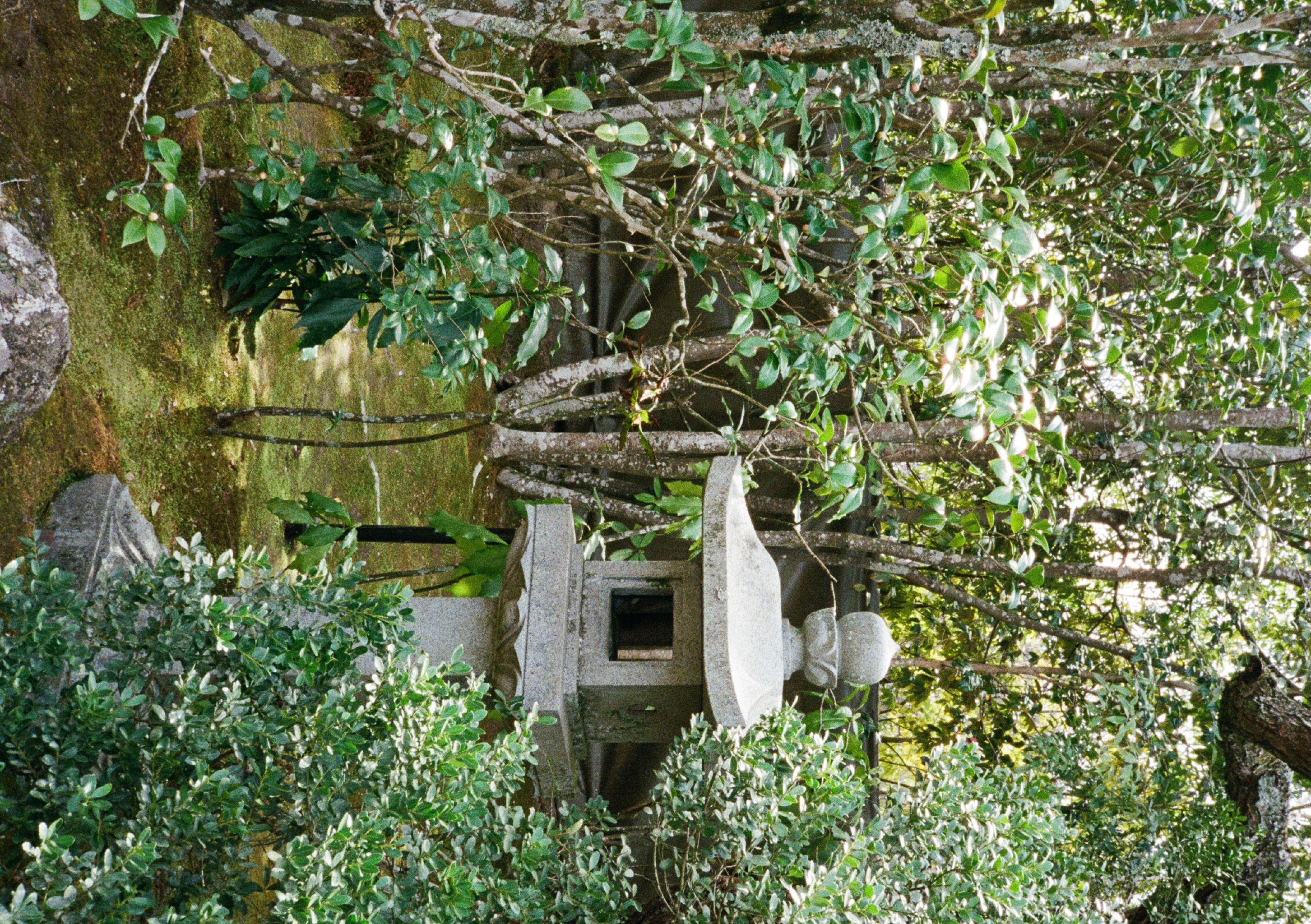 Roll #6 — Pentax 17 46