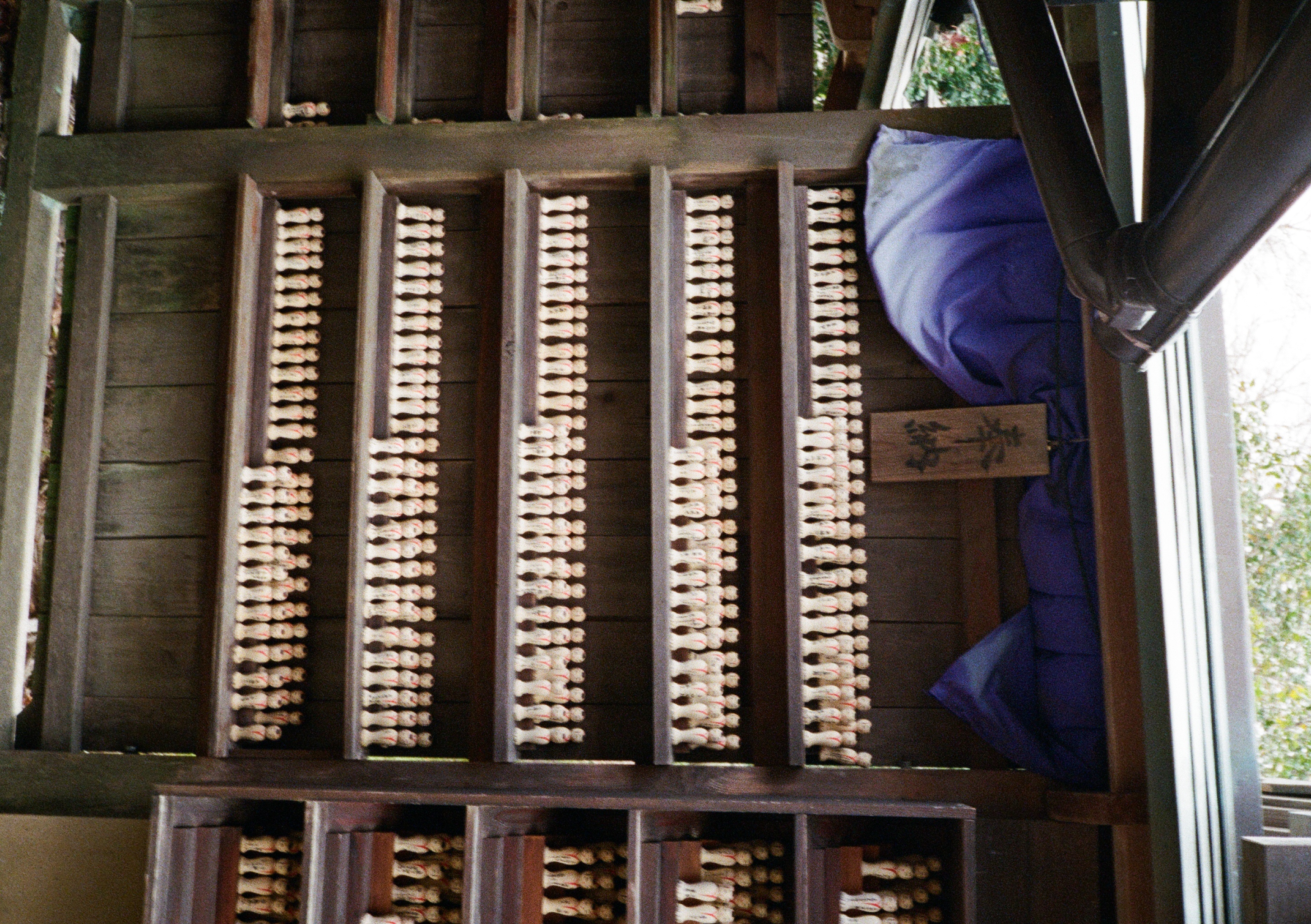 Roll #6 — Pentax 17 47