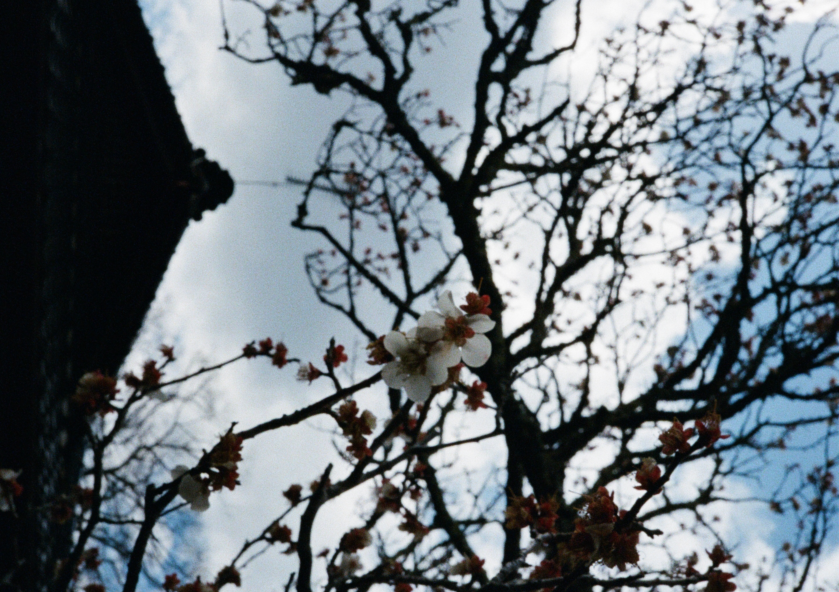 Roll #6 — Pentax 17 48