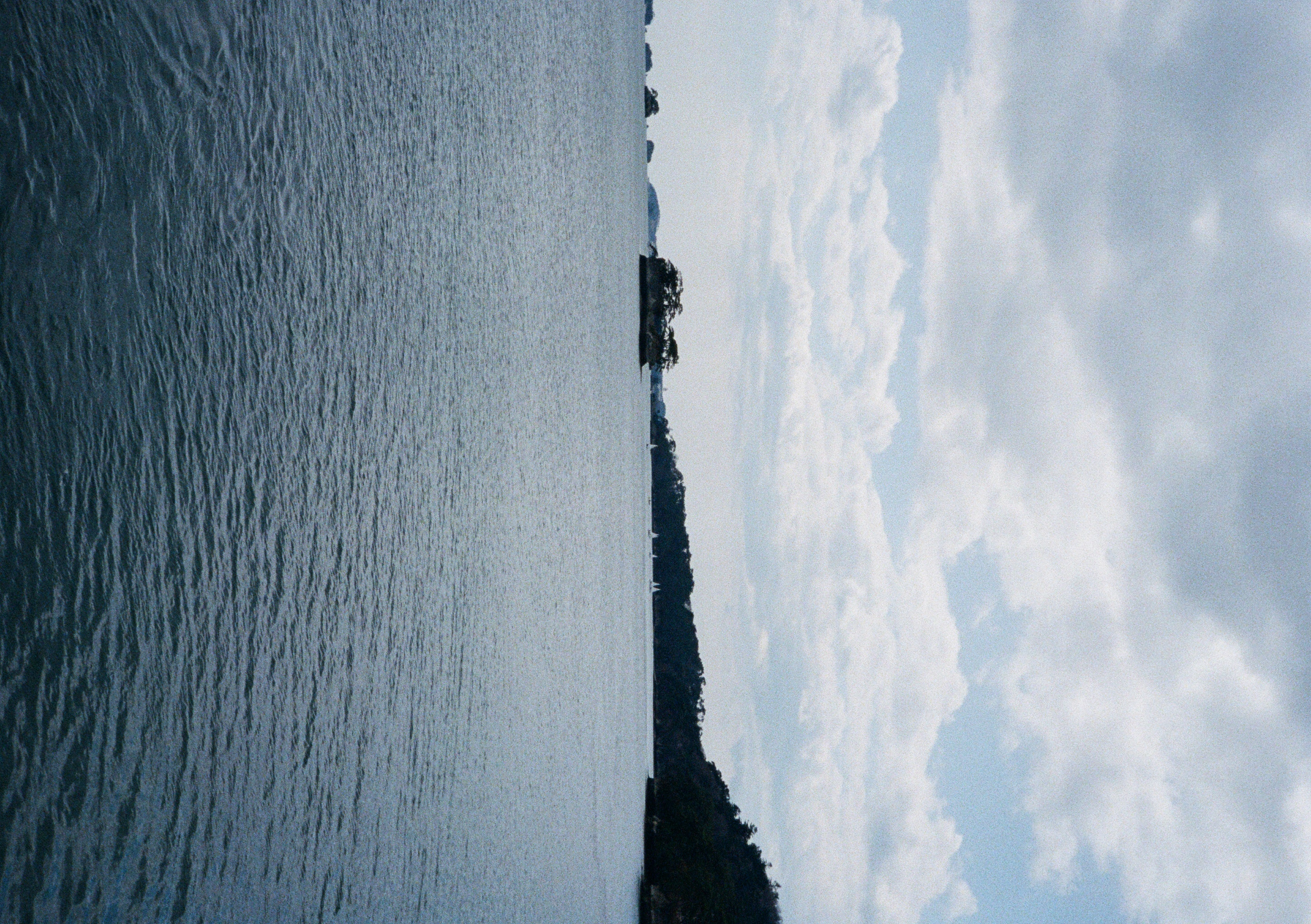 Roll #6 — Pentax 17 55