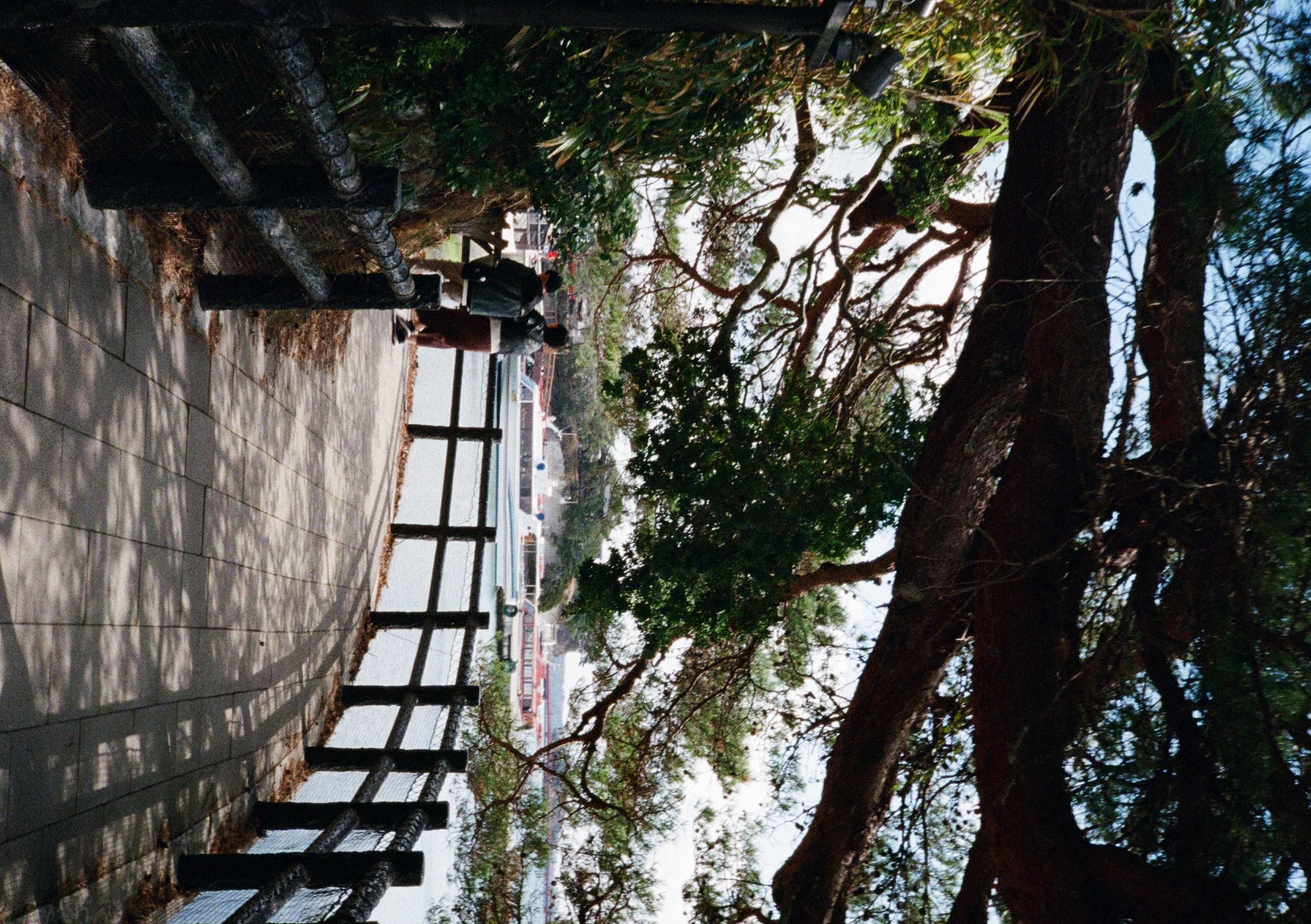 Roll #6 — Pentax 17 66