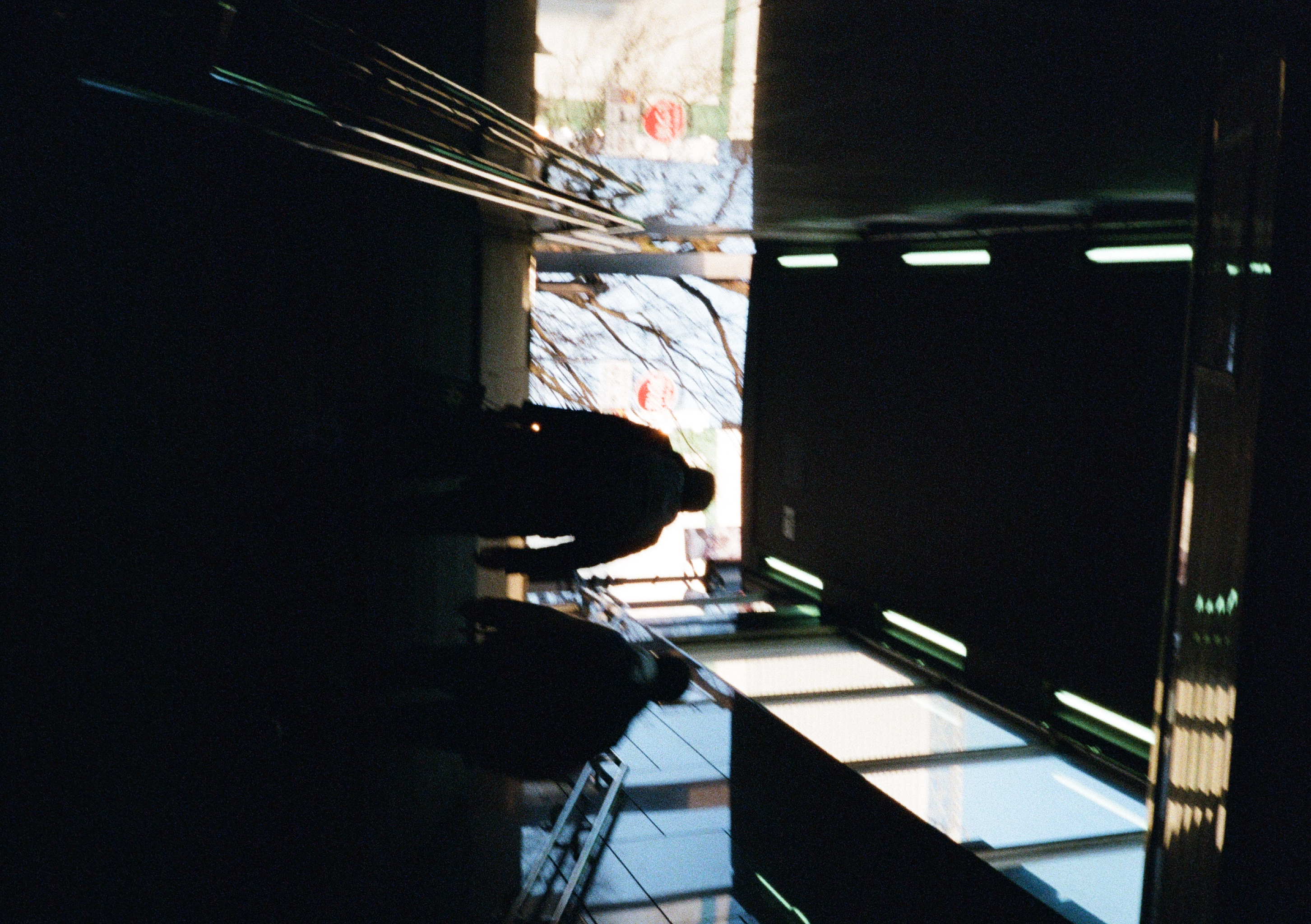 Roll #6 — Pentax 17 73