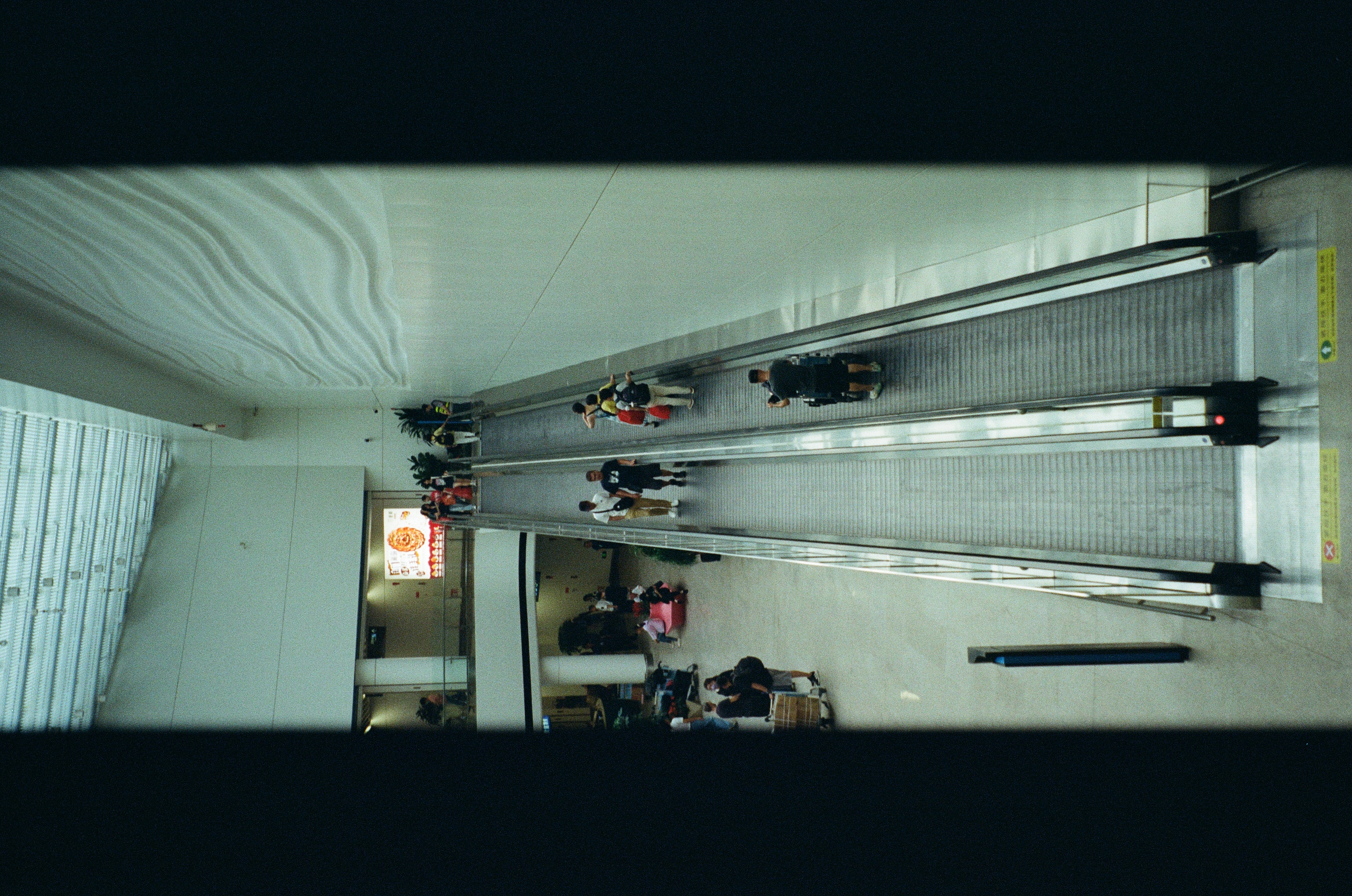 Roll #7 — Nikon ZOOM 500AF 4