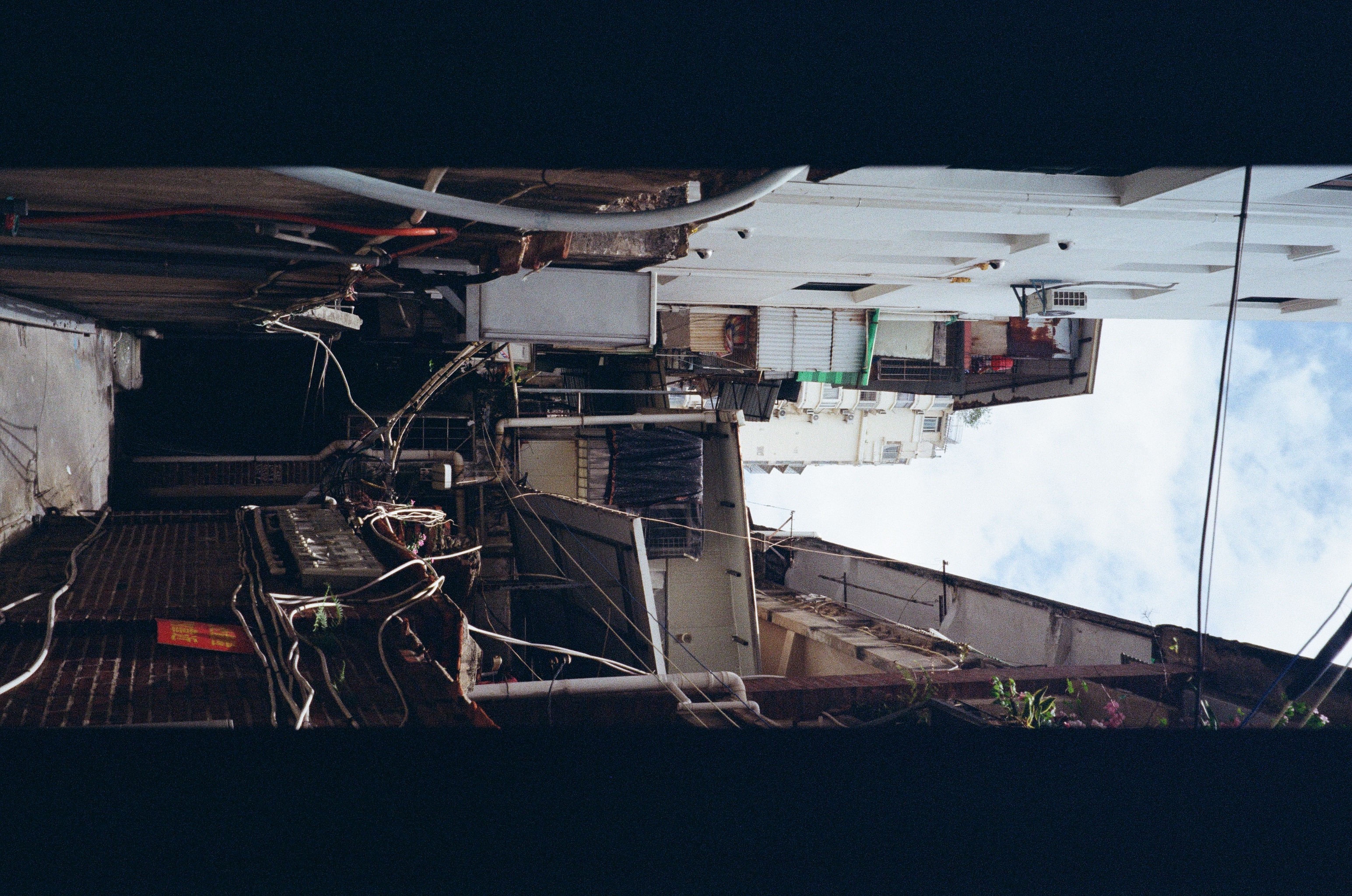 Roll #7 — Nikon ZOOM 500AF 6