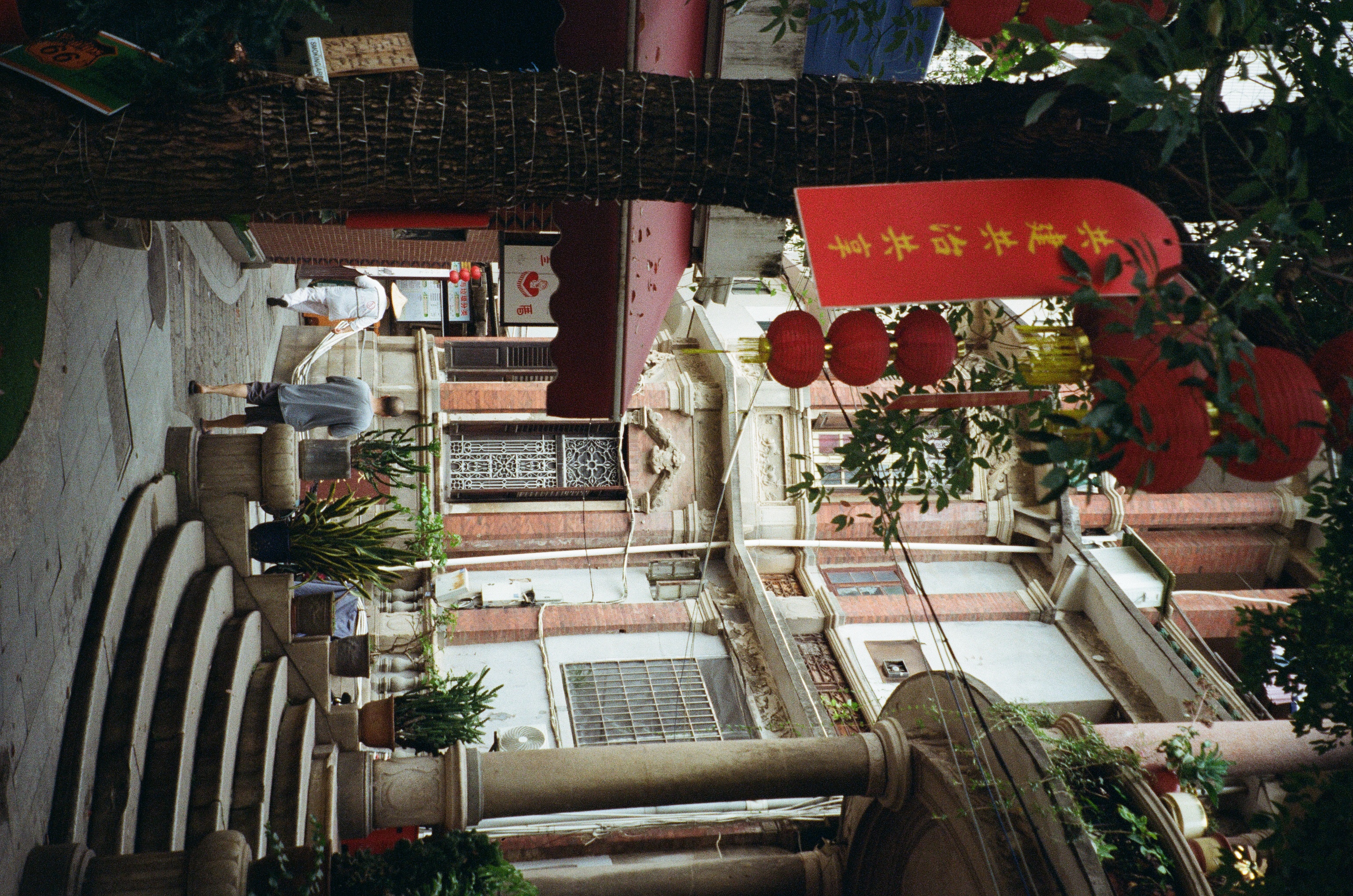 Roll #7 — Nikon ZOOM 500AF 9