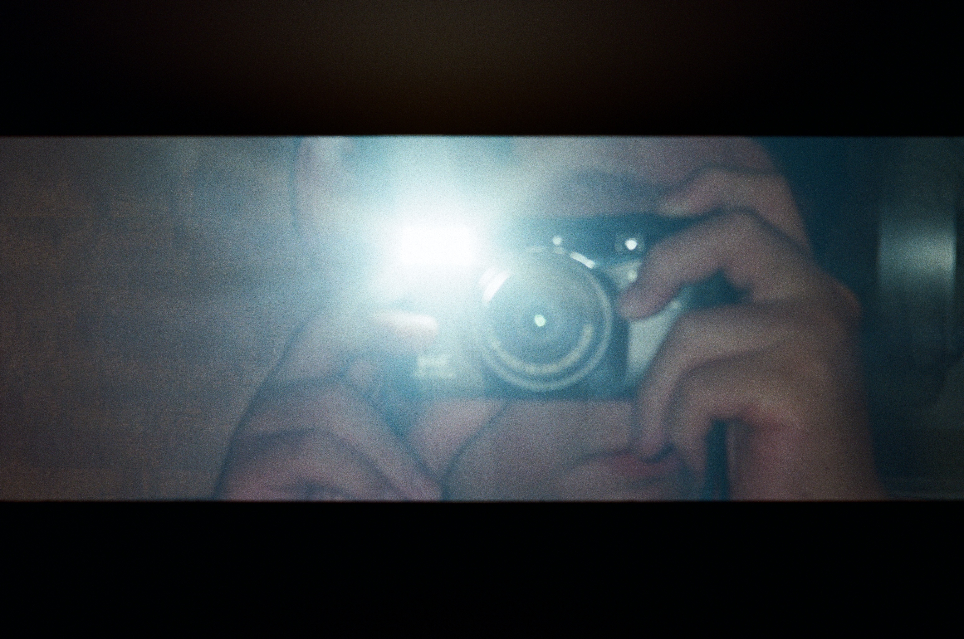 Roll #7 — Nikon ZOOM 500AF 10