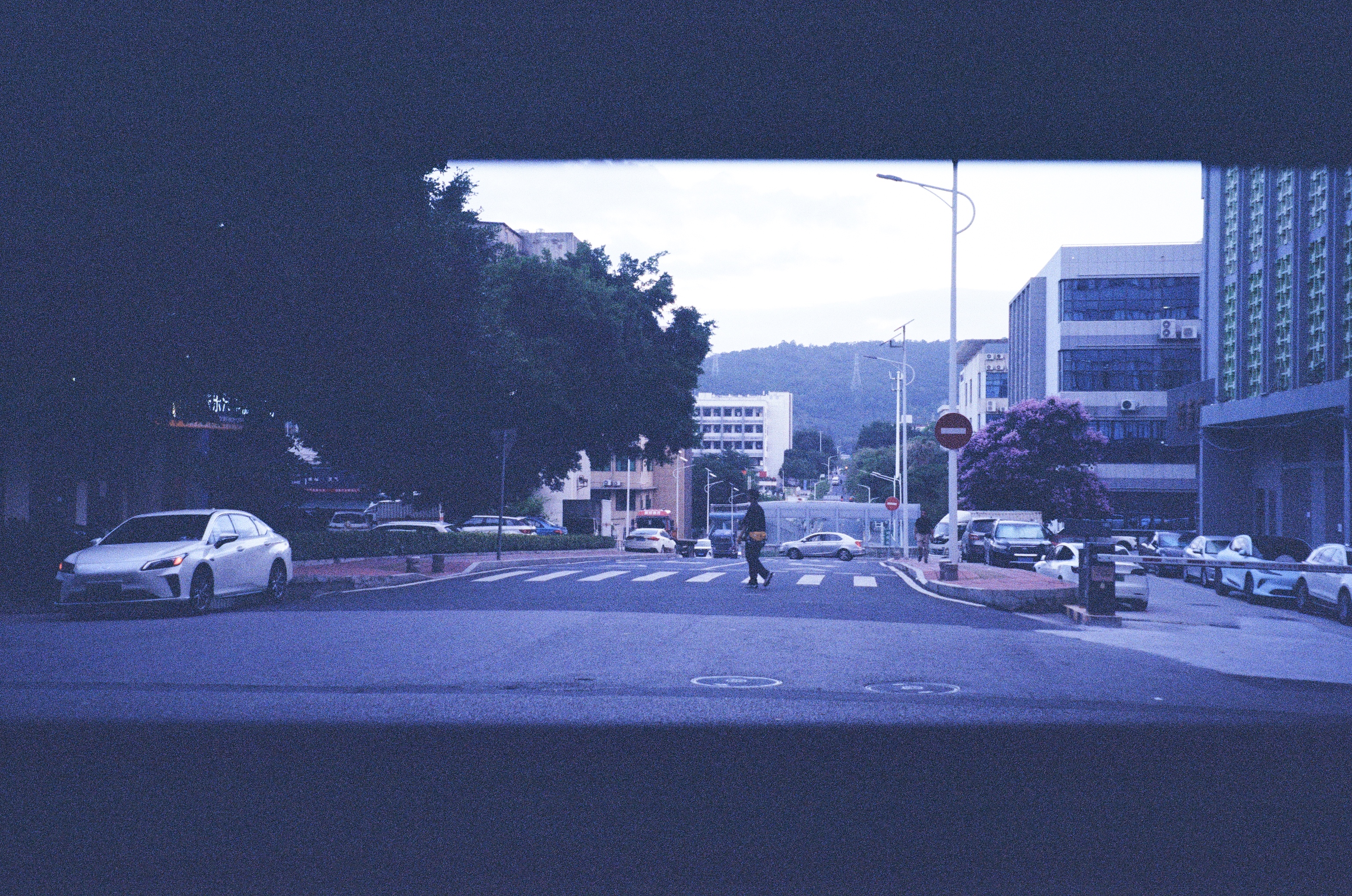 Roll #7 — Nikon ZOOM 500AF 13