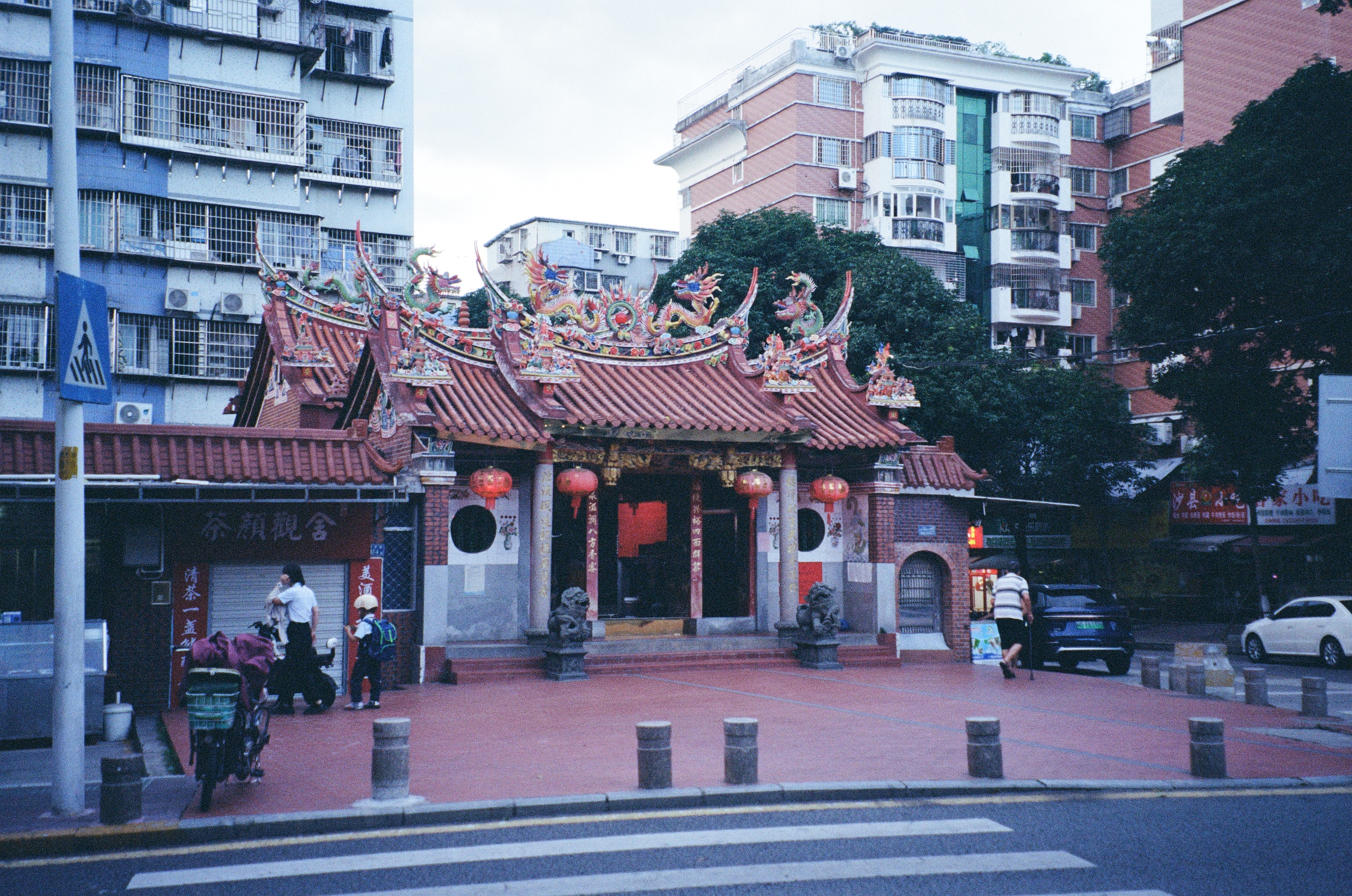 Roll #7 — Nikon ZOOM 500AF 14