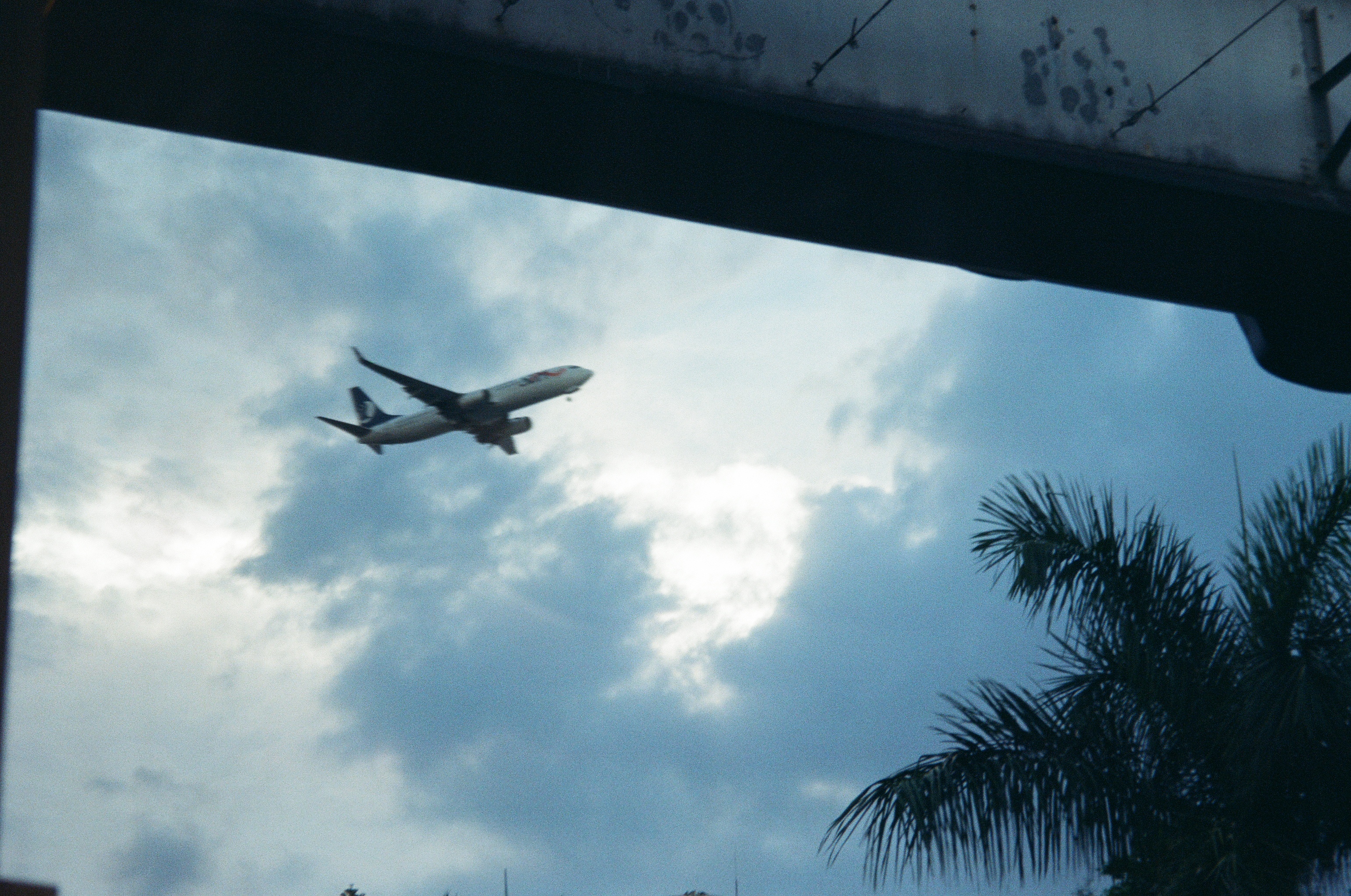 Roll #7 — Nikon ZOOM 500AF 15