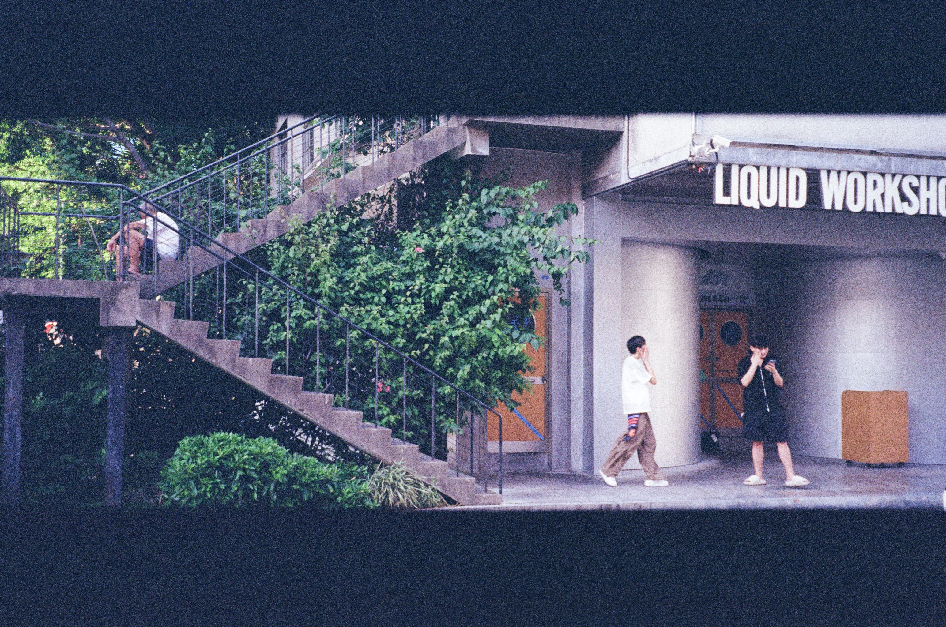 Roll #7 — Nikon ZOOM 500AF 21