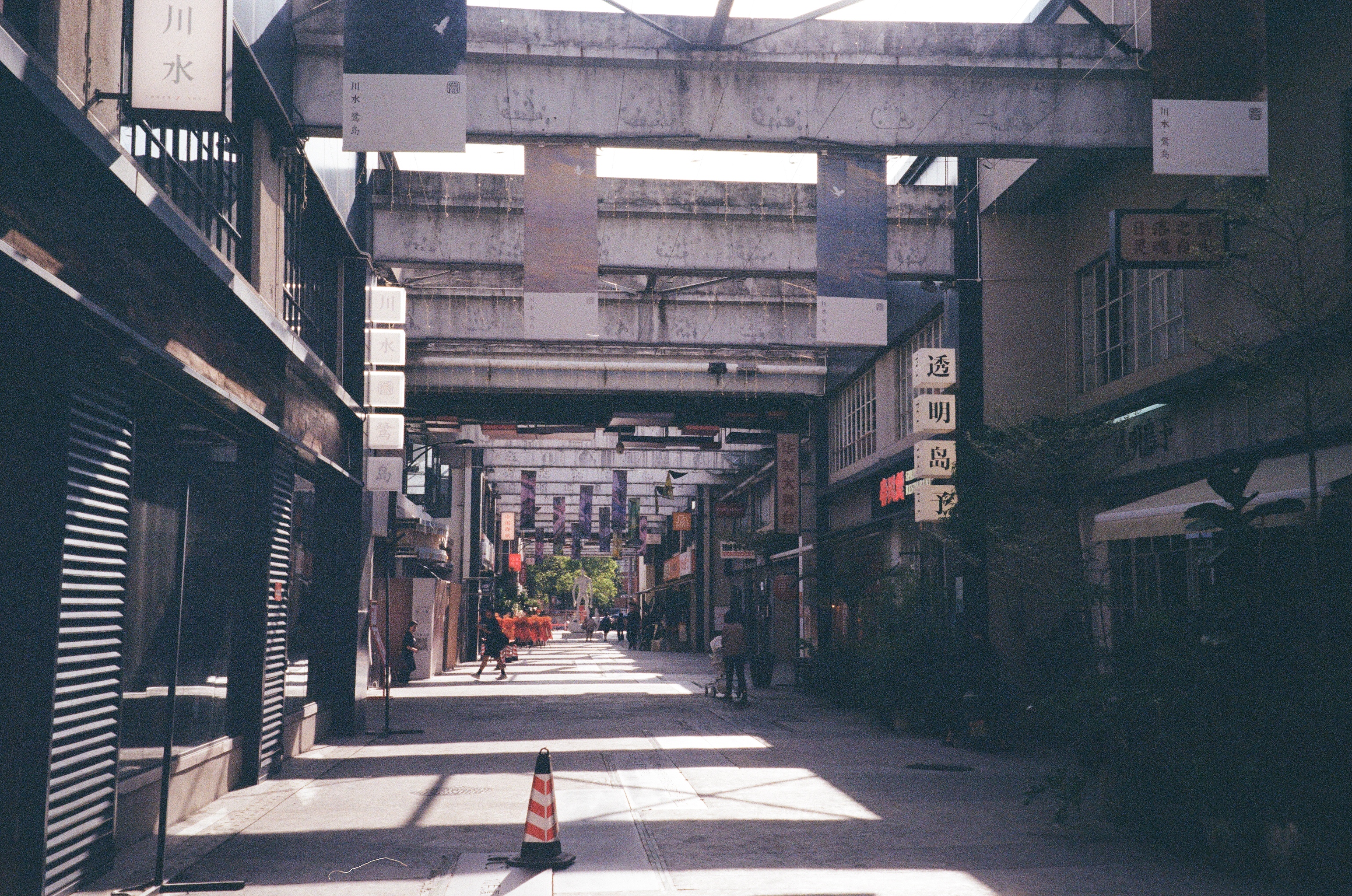 Roll #7 — Nikon ZOOM 500AF 23