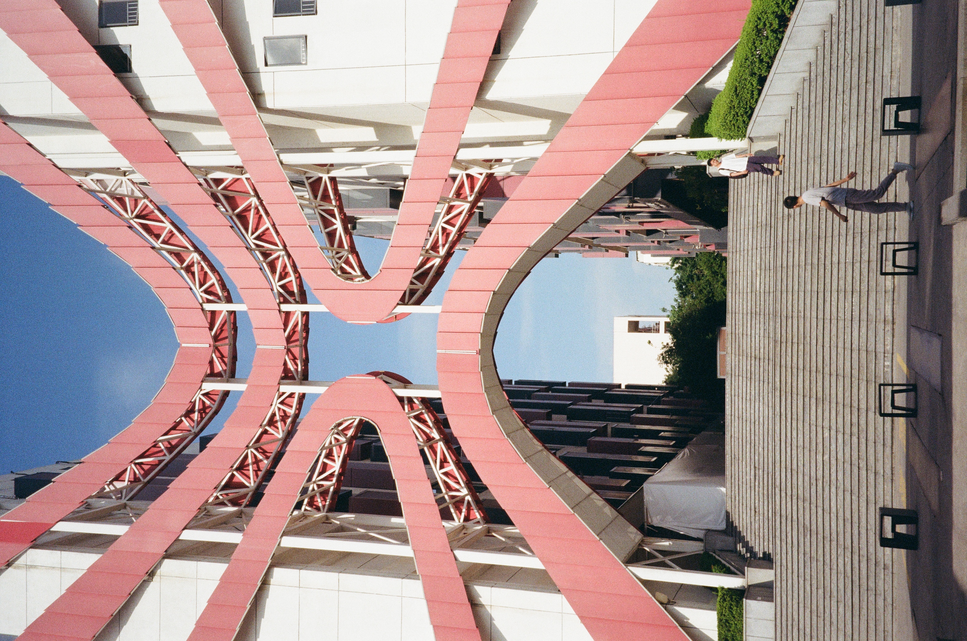 Roll #7 — Nikon ZOOM 500AF 24