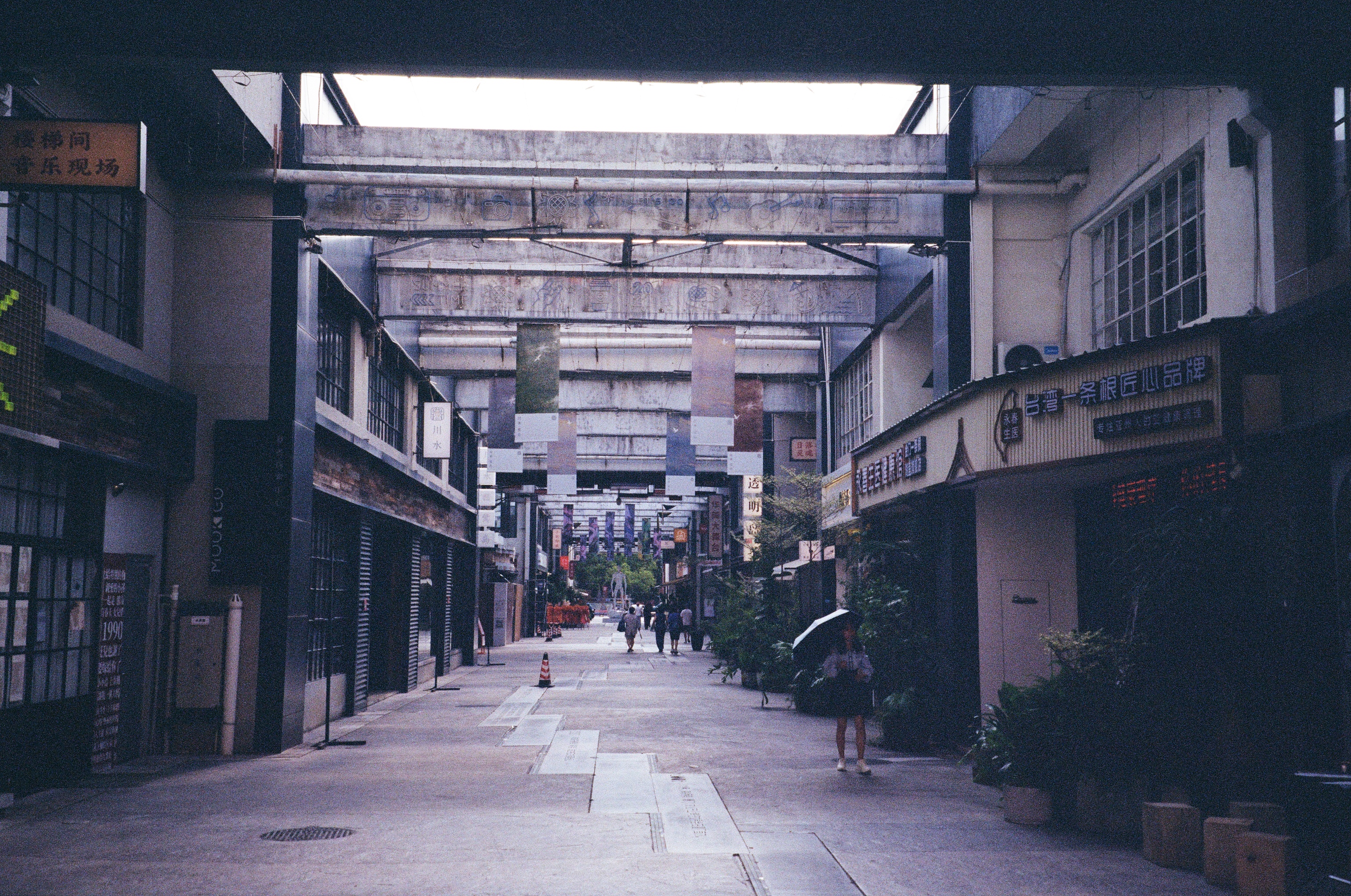 Roll #7 — Nikon ZOOM 500AF 25