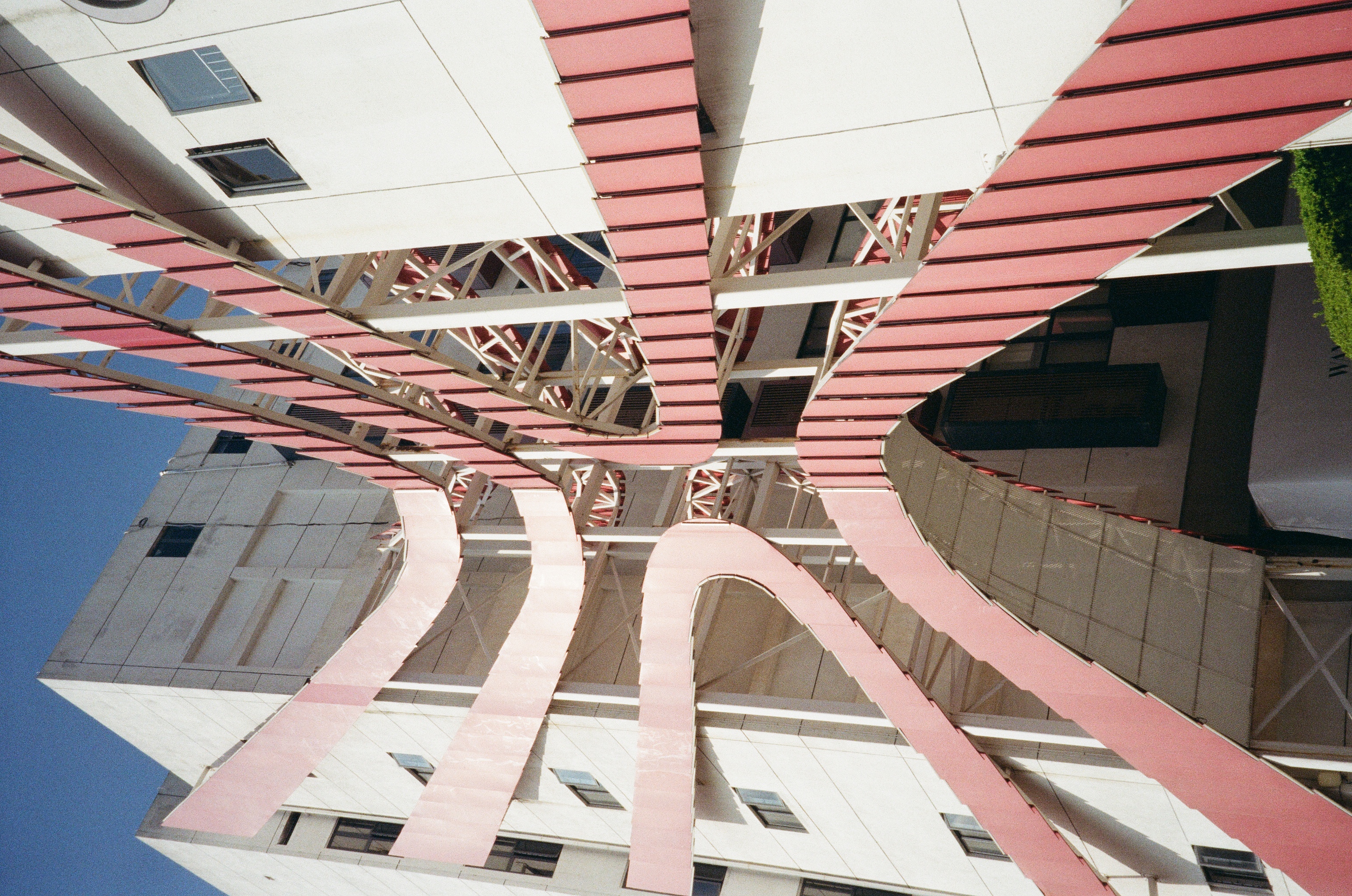 Roll #7 — Nikon ZOOM 500AF 26