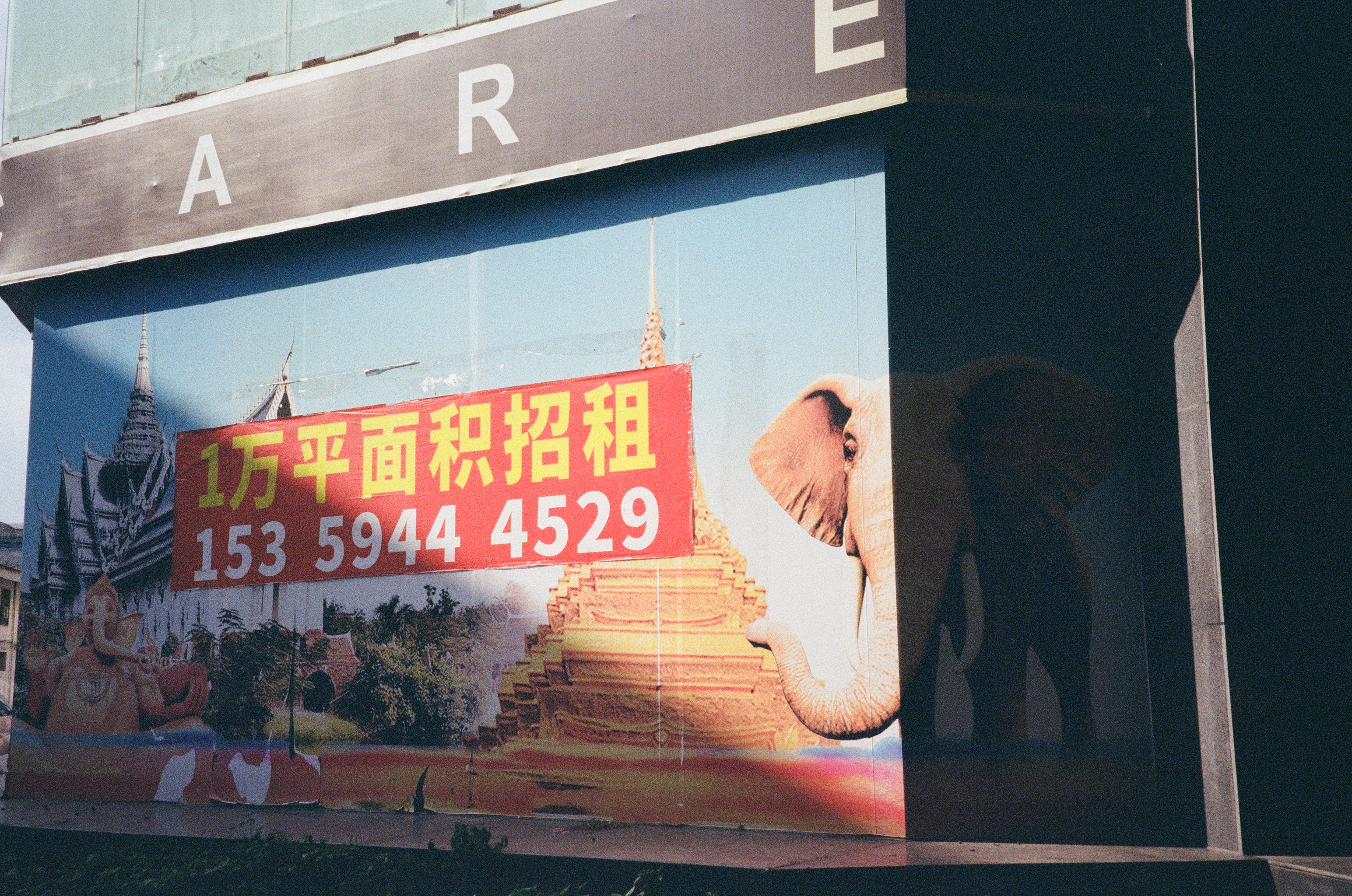 Roll #7 — Nikon ZOOM 500AF 28