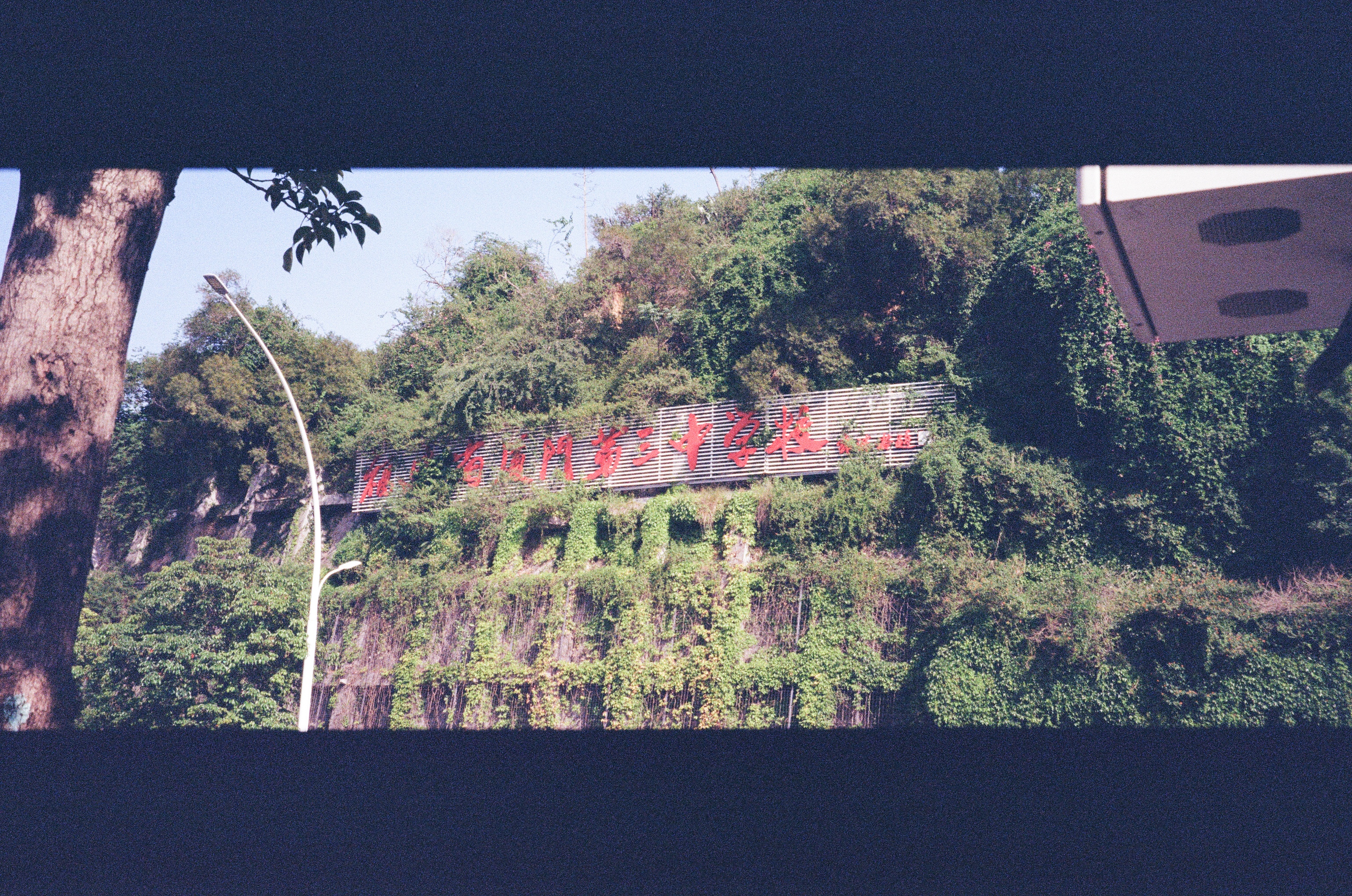 Roll #7 — Nikon ZOOM 500AF 29