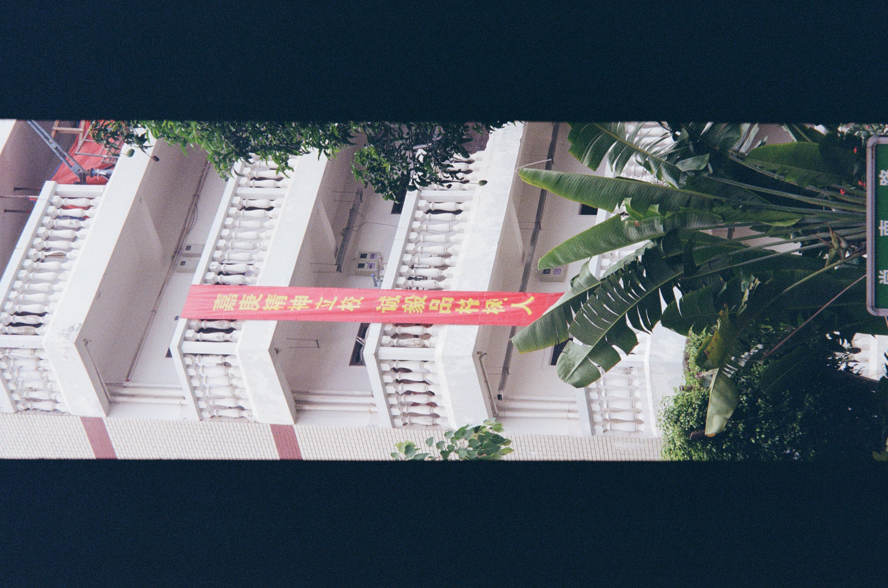 Roll #7 — Nikon ZOOM 500AF 33