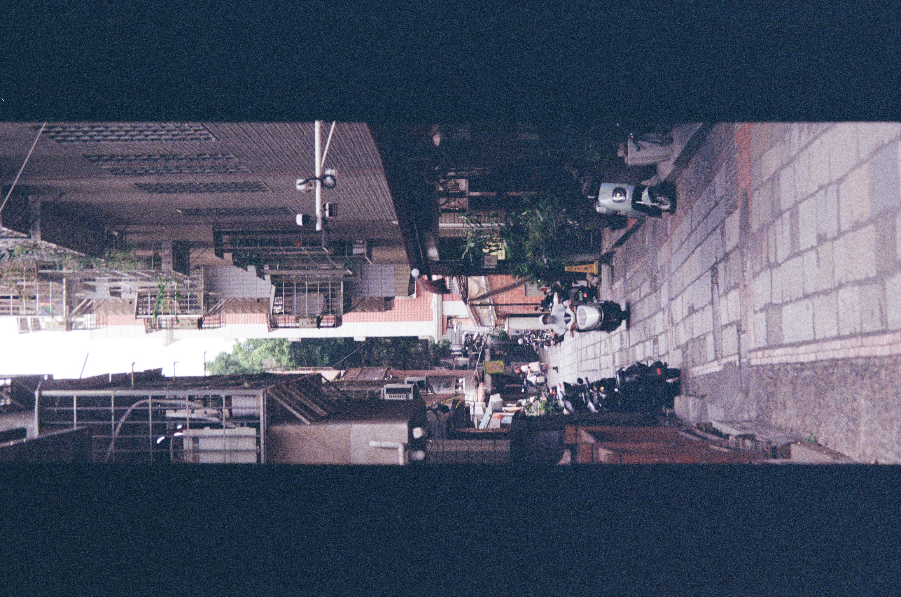 Roll #7 — Nikon ZOOM 500AF 34