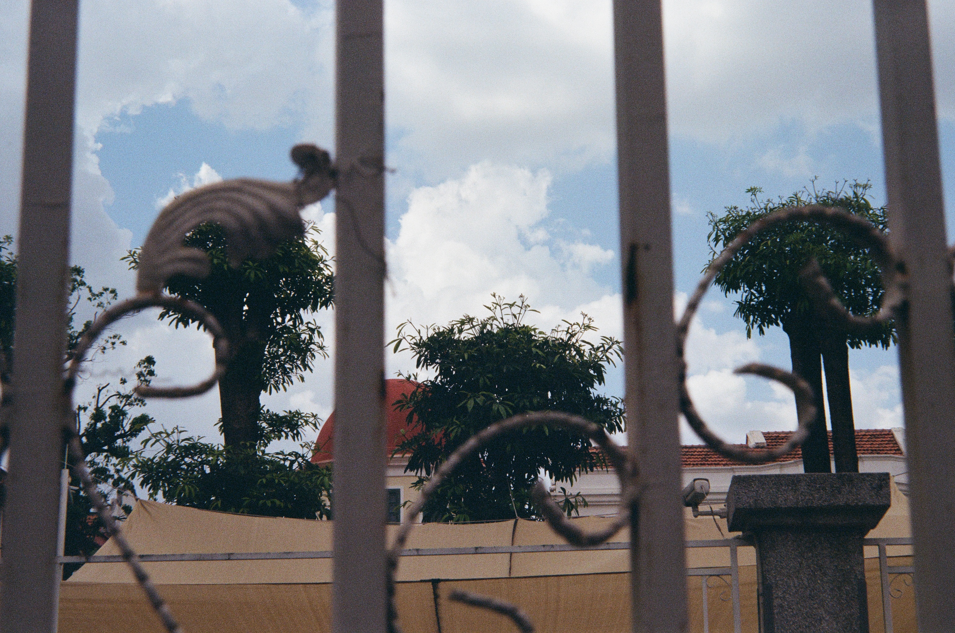 Roll #7 — Nikon ZOOM 500AF 35