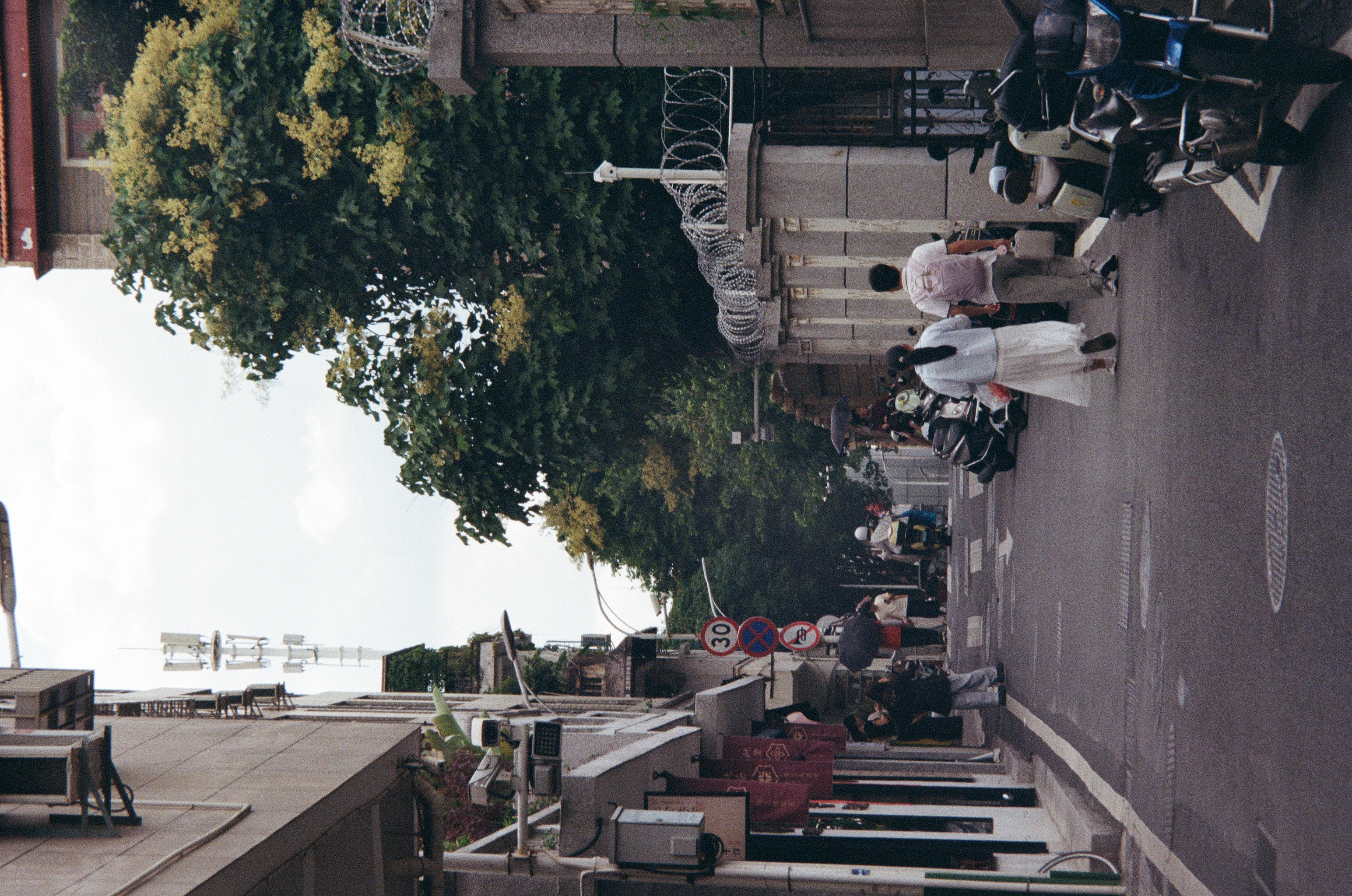 Roll #7 — Nikon ZOOM 500AF 36