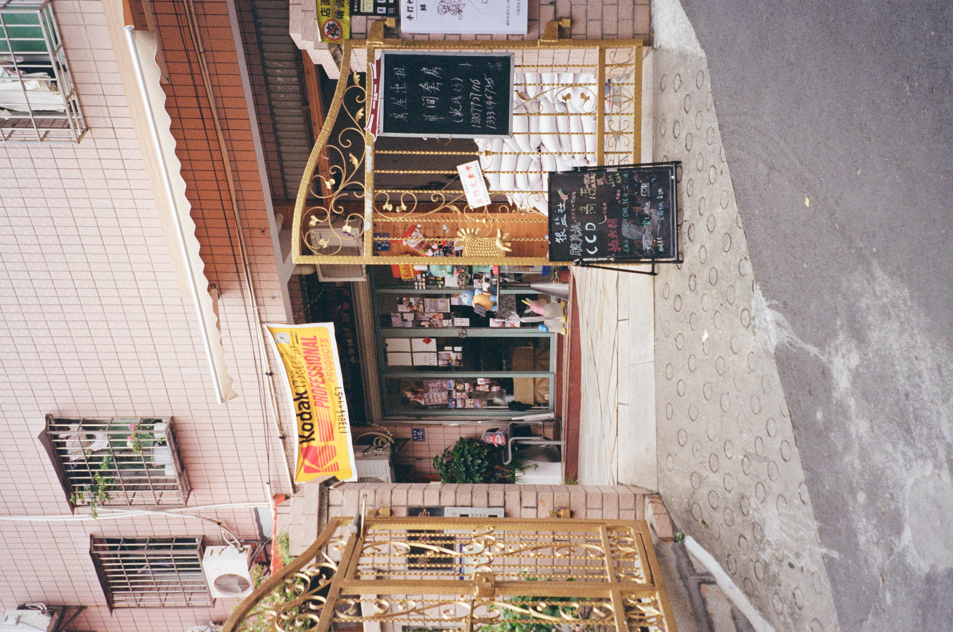 Roll #7 — Nikon ZOOM 500AF 37