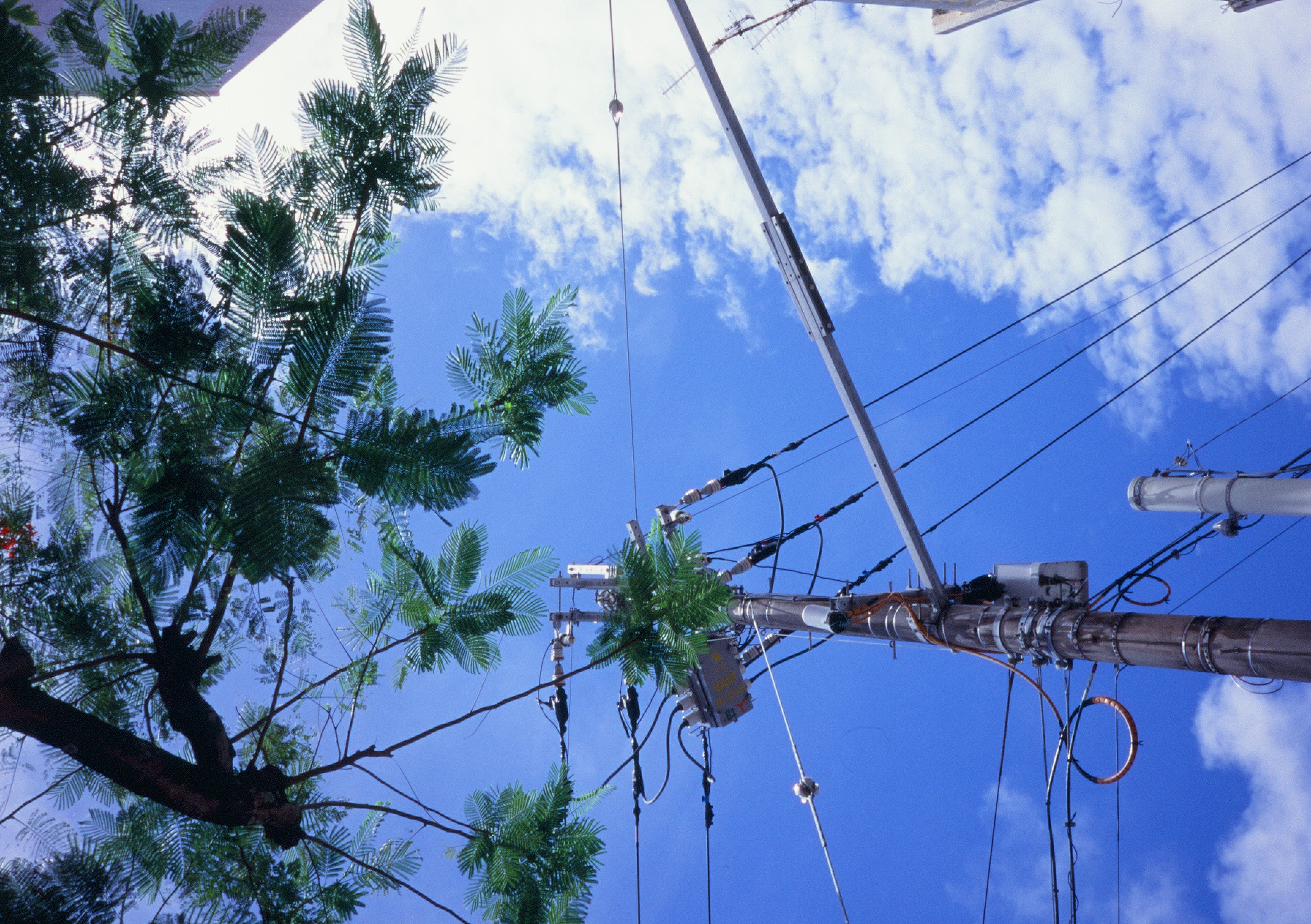 Roll #8 — Pentax 17 2